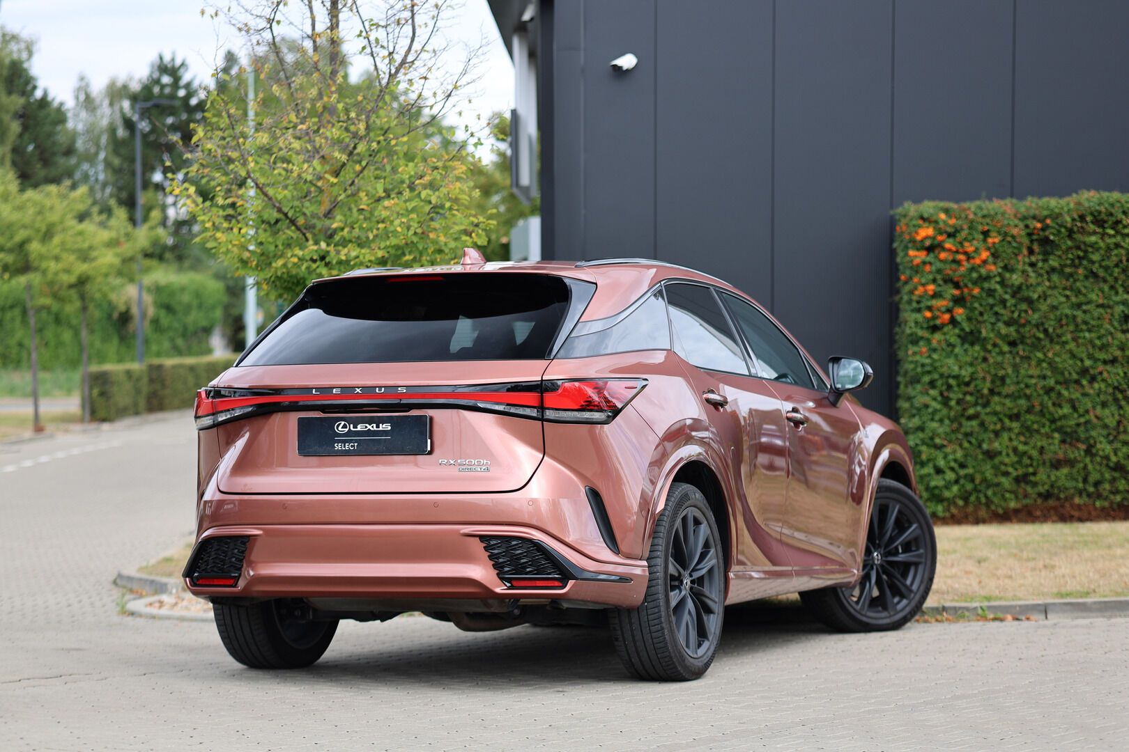 Lexus RX 500h, 2,4 HEV F SPORT PLUS PANORAMIC - fotka 4