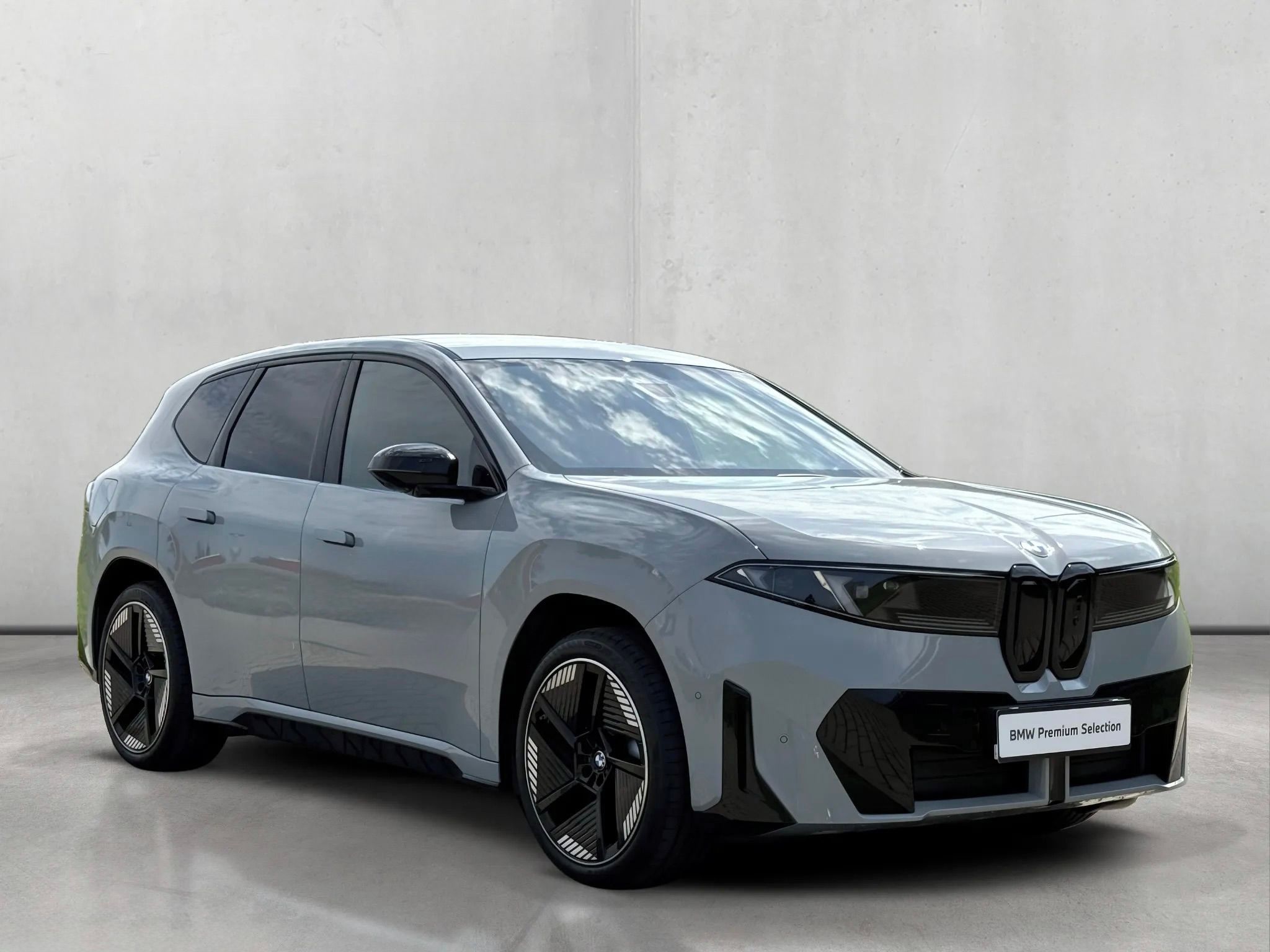 BMW iX3, 50 xDrive M Sport Pro - fotka 3