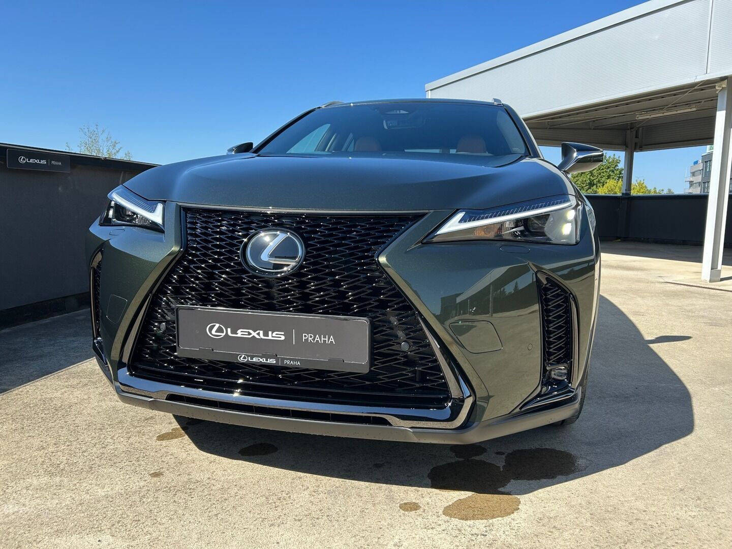 Lexus UX 300h, 300h 2.0 HEV F SPORT DESIGN - fotka 4