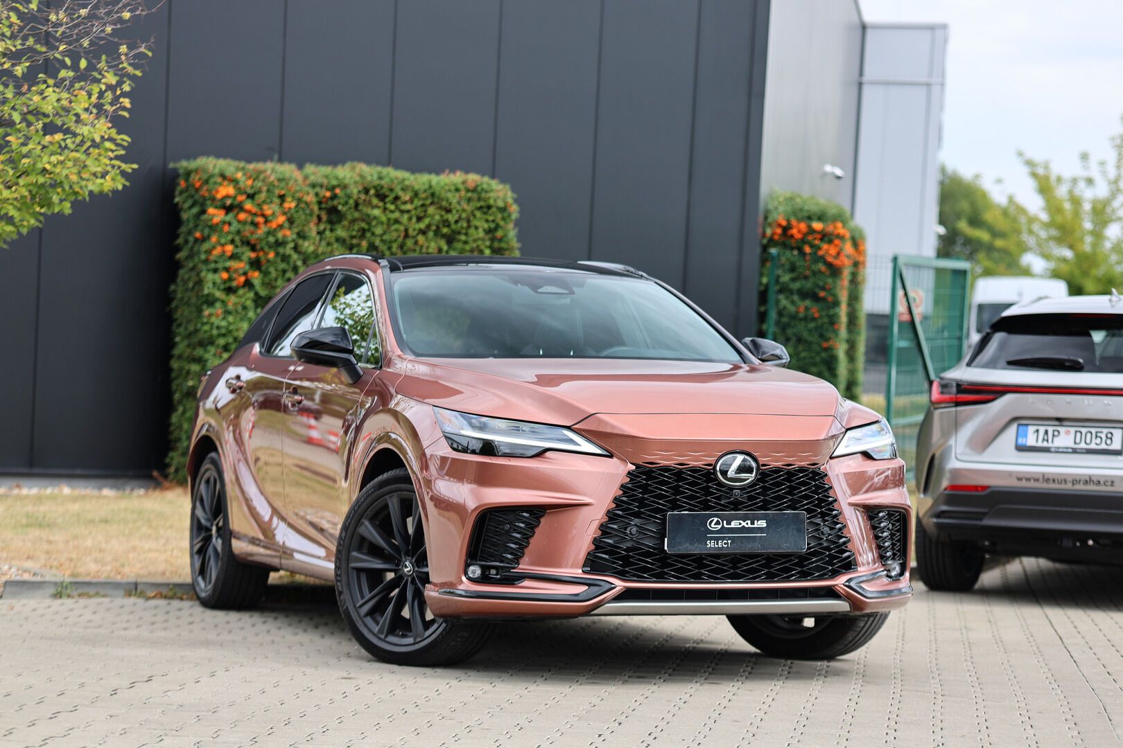 Lexus RX 500h, 2,4 HEV F SPORT PLUS PANORAMIC - fotka 2