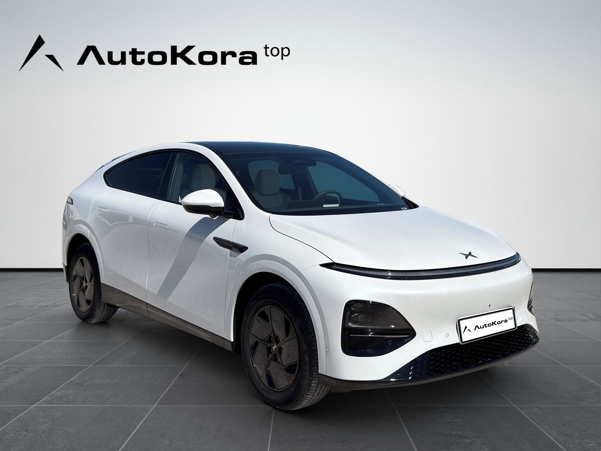 XPENG G6, RWD Long Range, 218kW