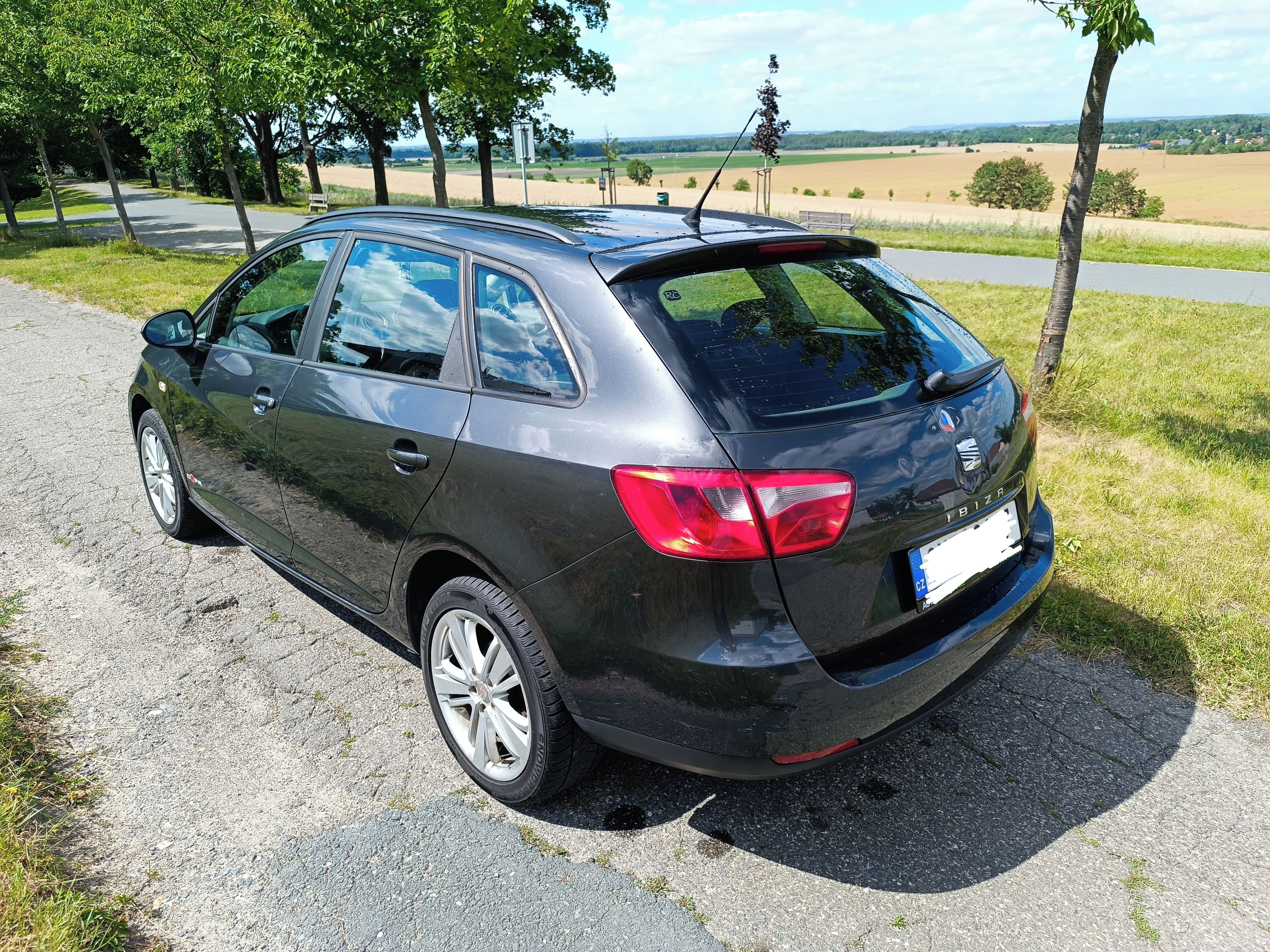 Seat Ibiza, 1,4i 63kW, 2011, COPA, ČR - fotka 6