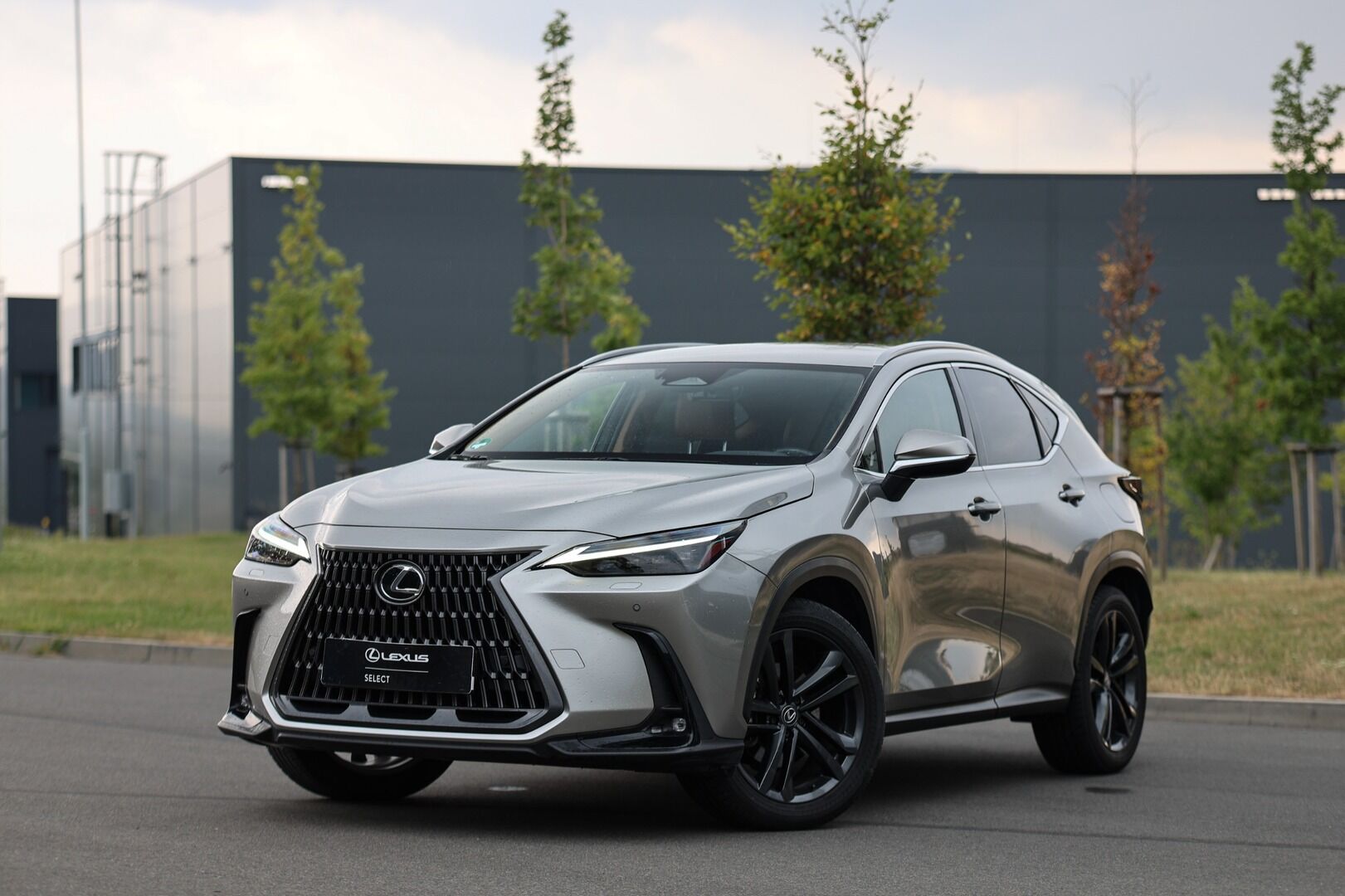 Lexus NX 350h, 350H HEV PRESTIGE PLUS TECH
