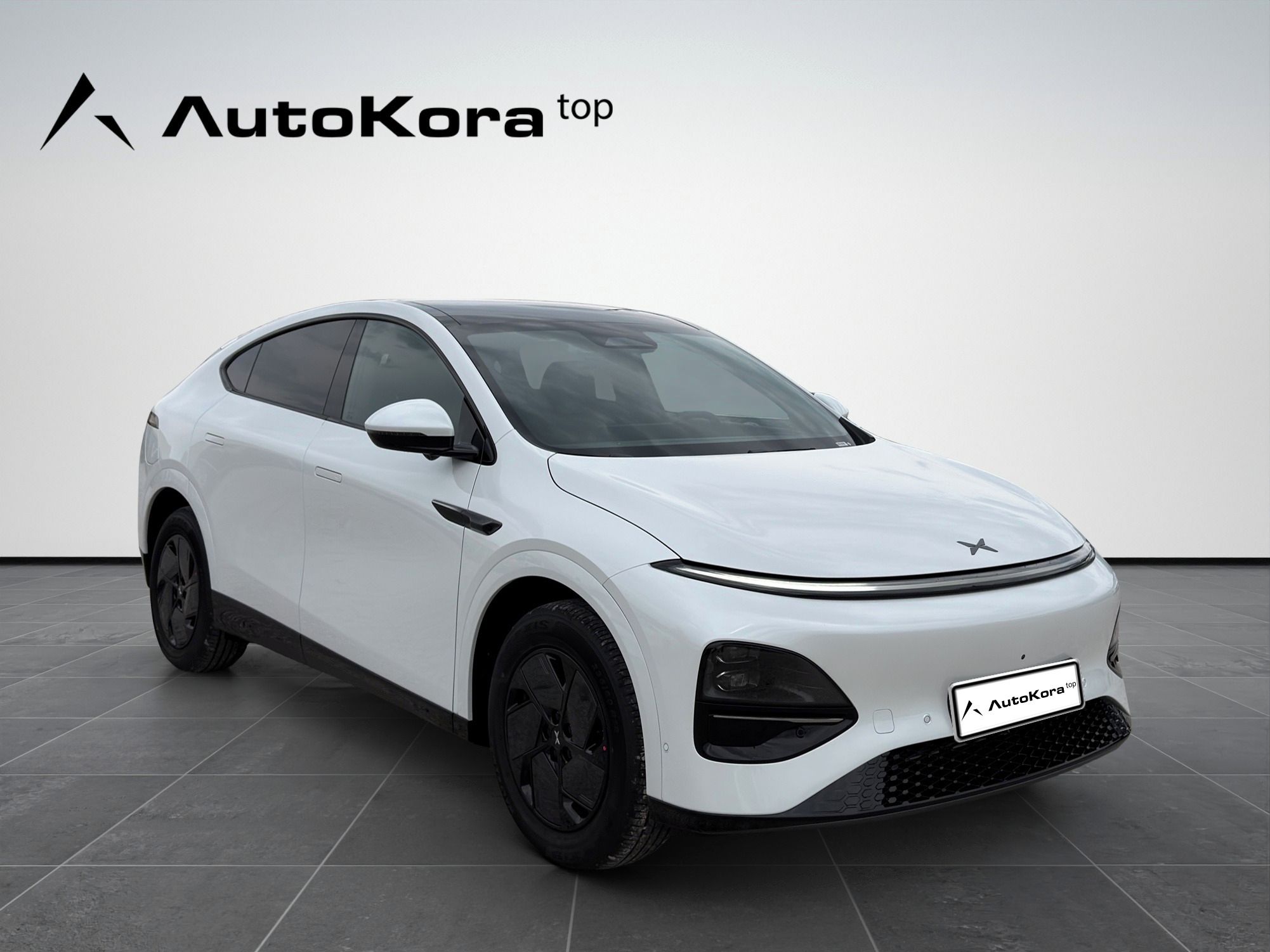 XPENG G6, RWD Long Range, 218kW, MY2026
