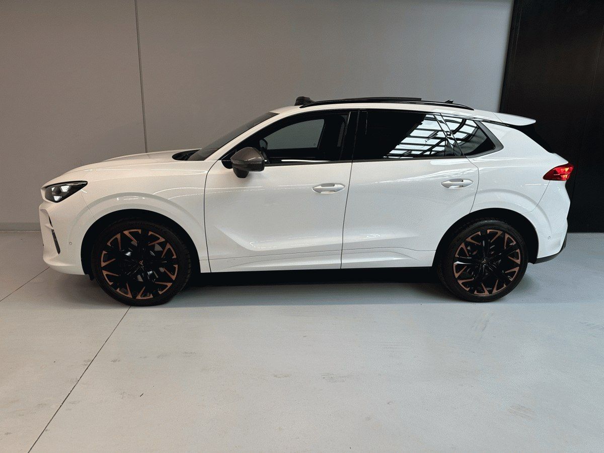 Cupra Terramar, 2.0 TSI 265k 4WD DSG *HD MTRX* - fotka 3
