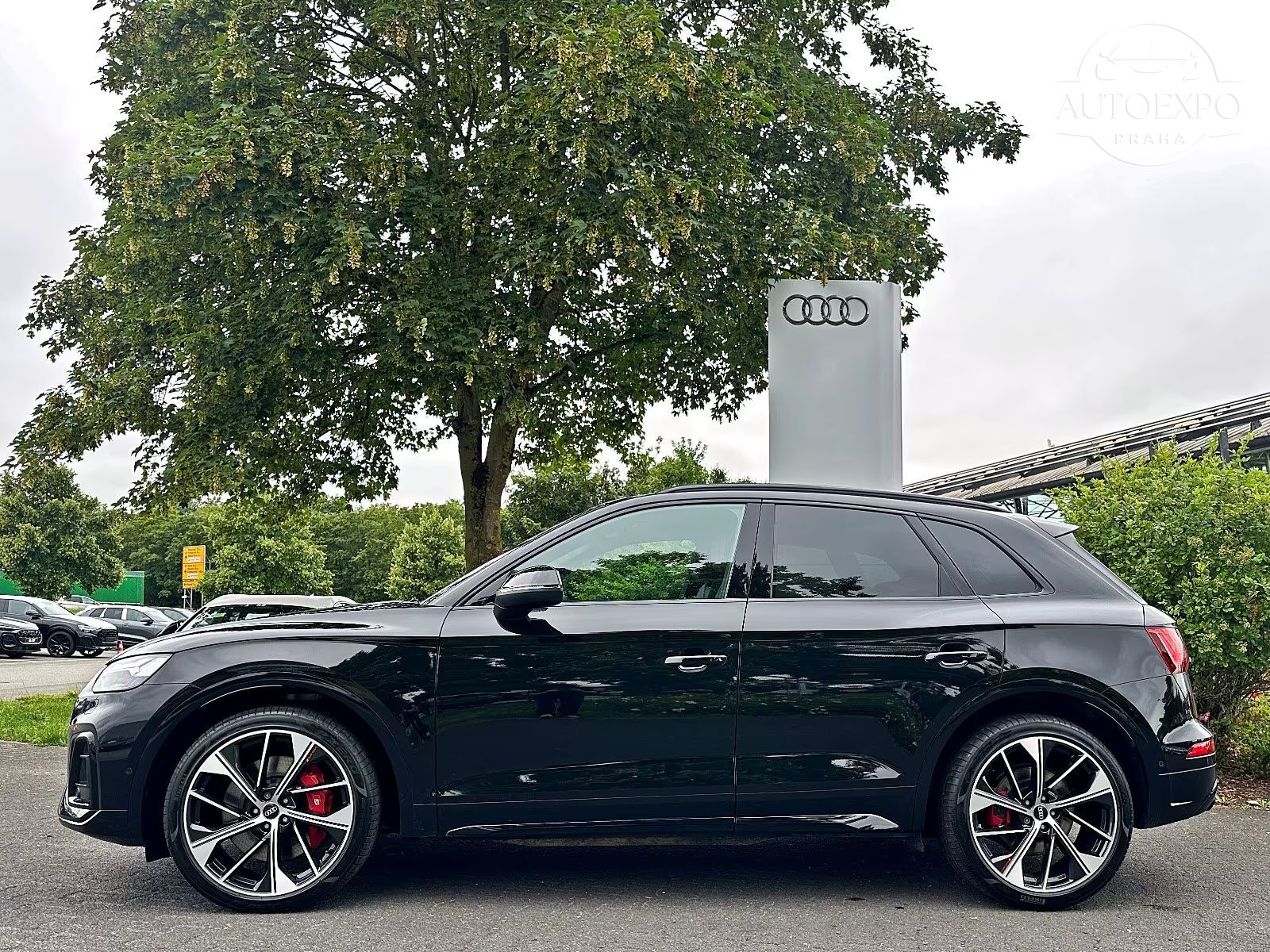Audi SQ5, TDI quatro* - fotka 3