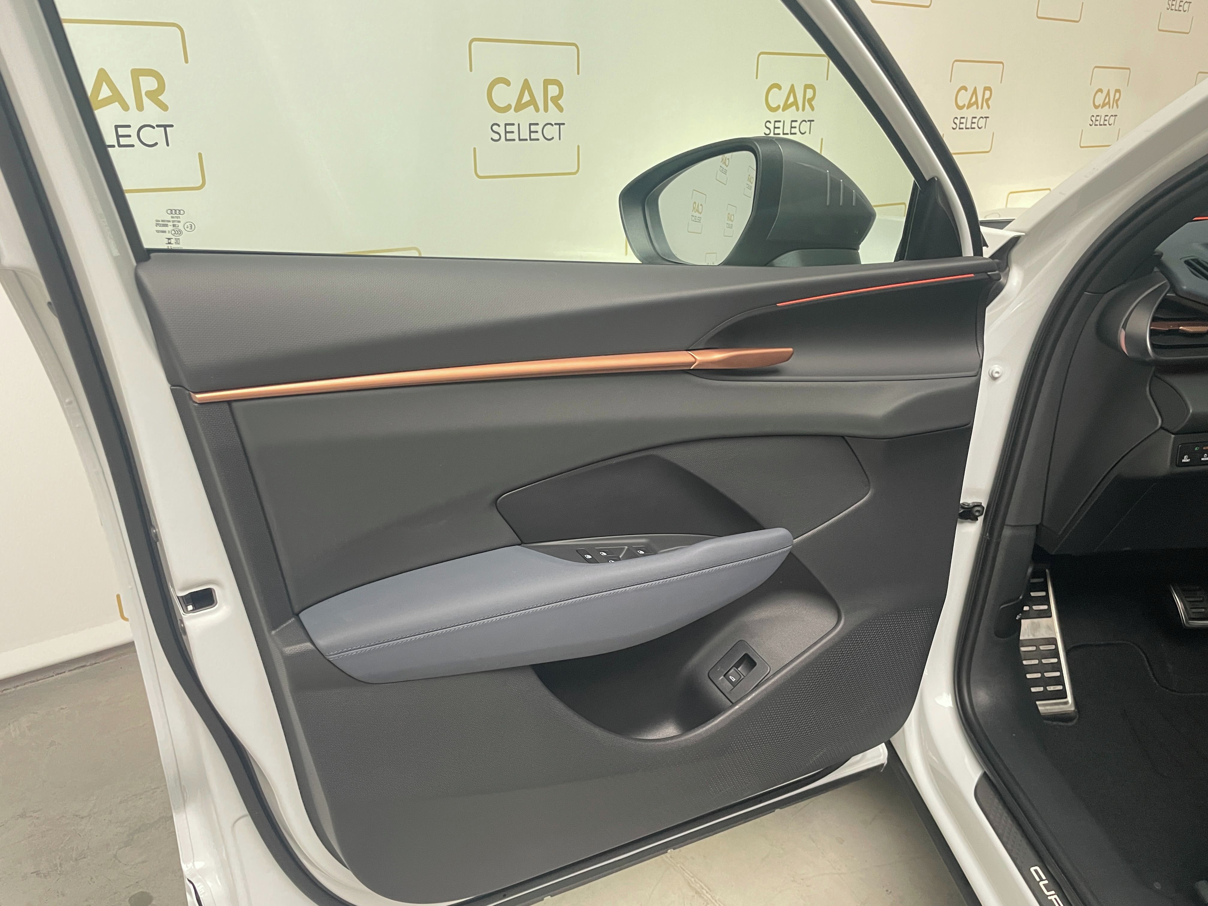 Cupra Terramar, VZ 2.0TSI 5let.záruka/Pan/Taž. - fotka 6
