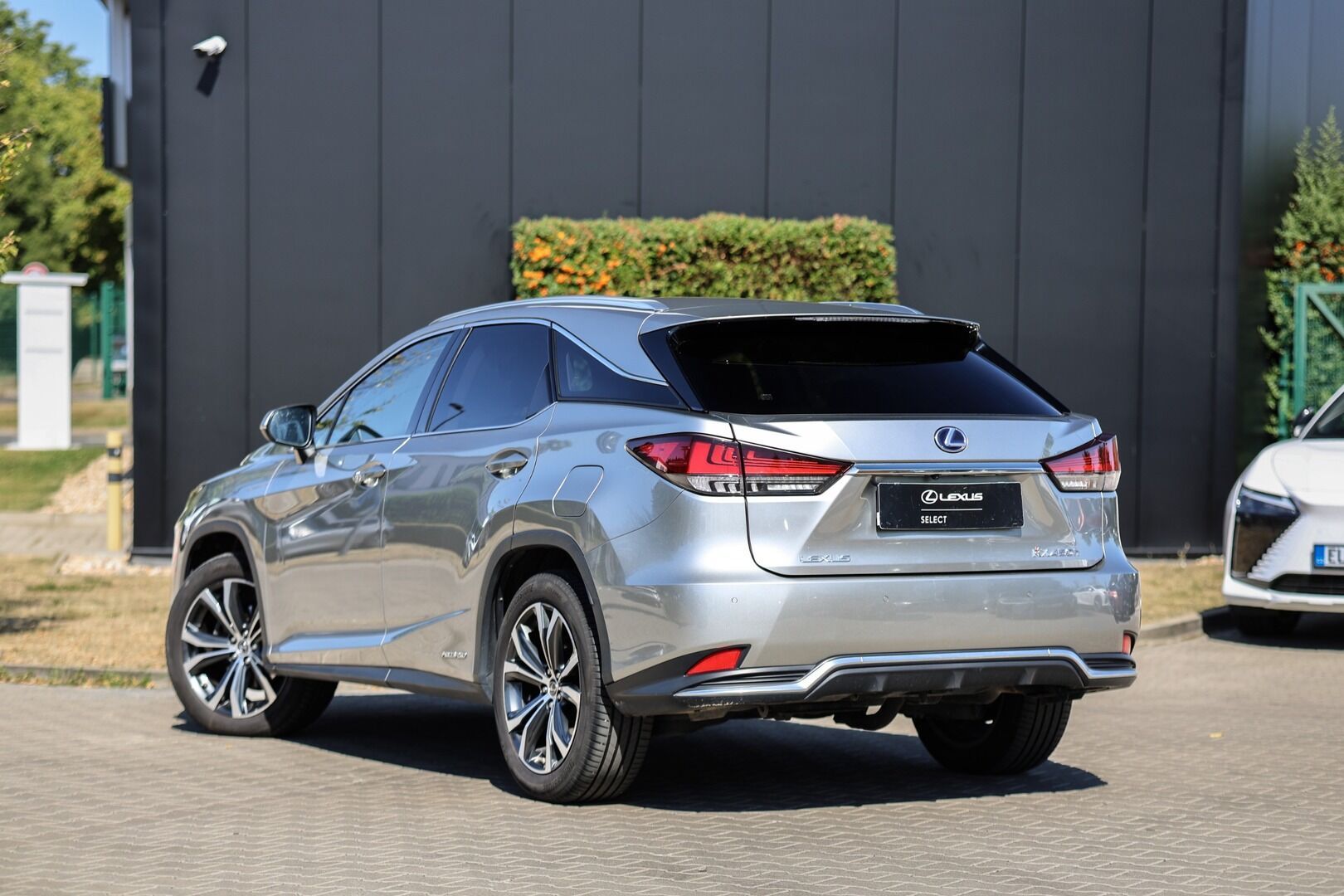 Lexus RX 450h, 450H 3,5 HEV EXECUTIVE - fotka 6