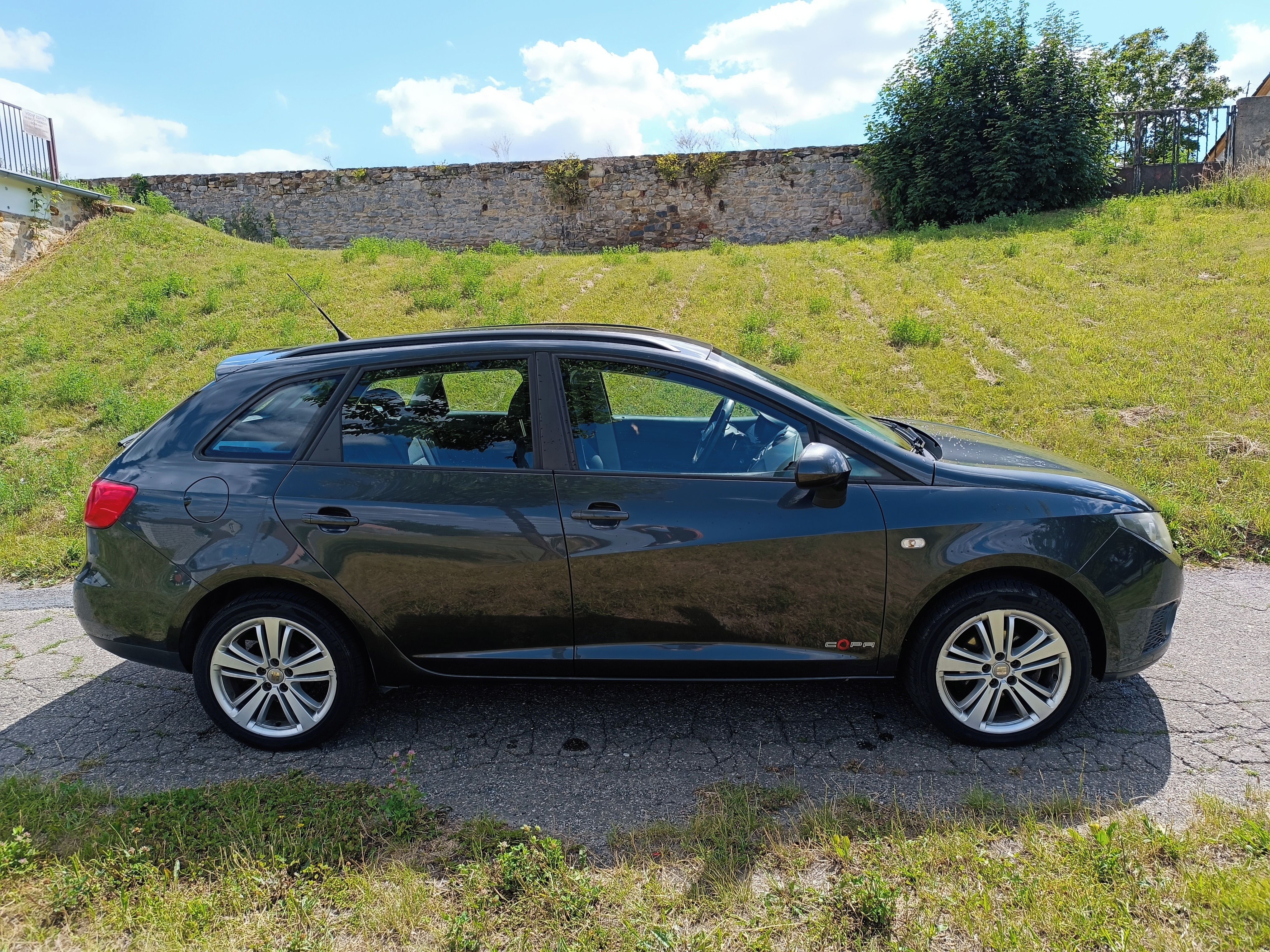 Seat Ibiza, 1,4i 63kW, 2011, COPA, ČR - fotka 4