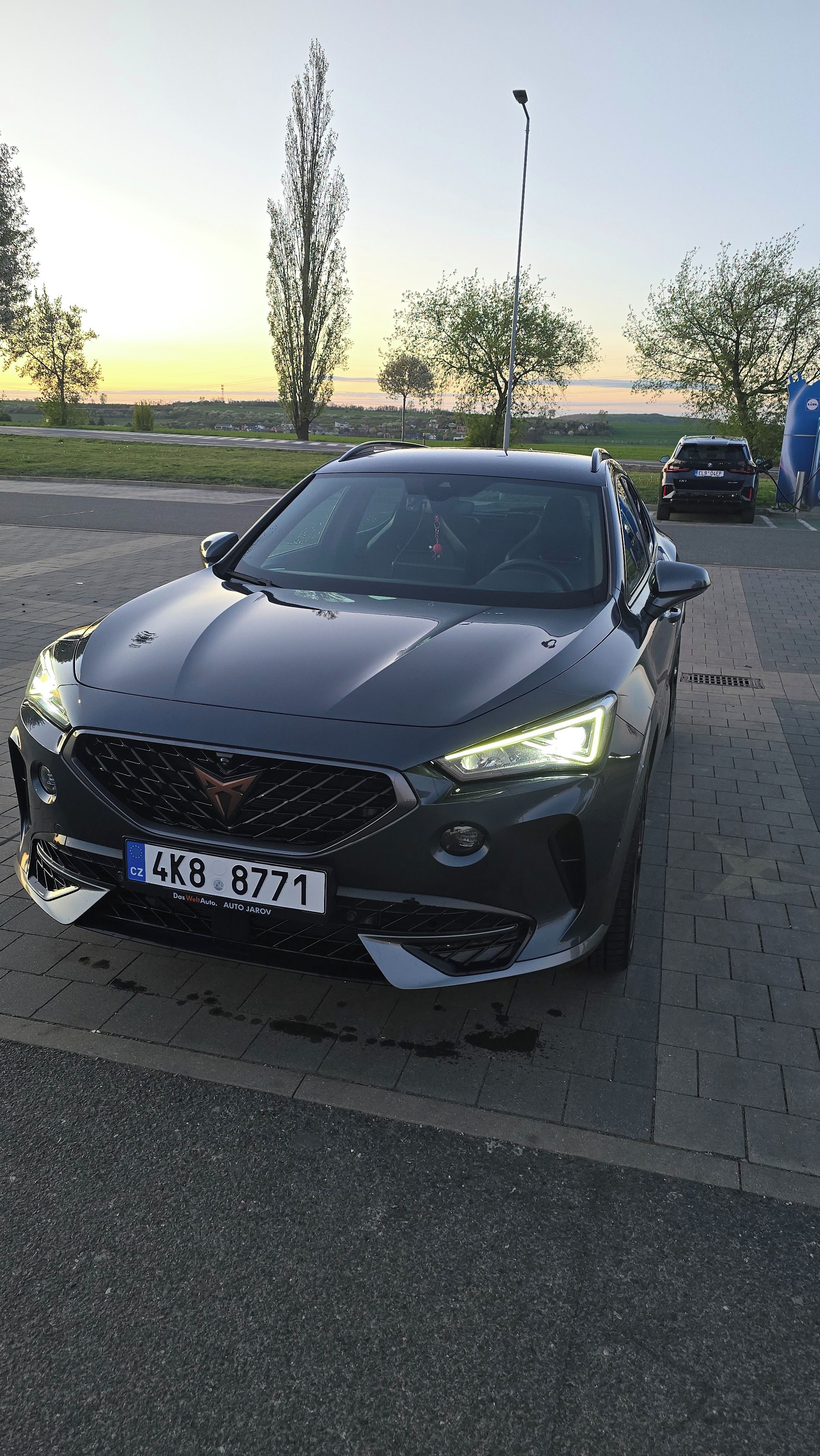 Cupra Formentor, 2.0 tsi