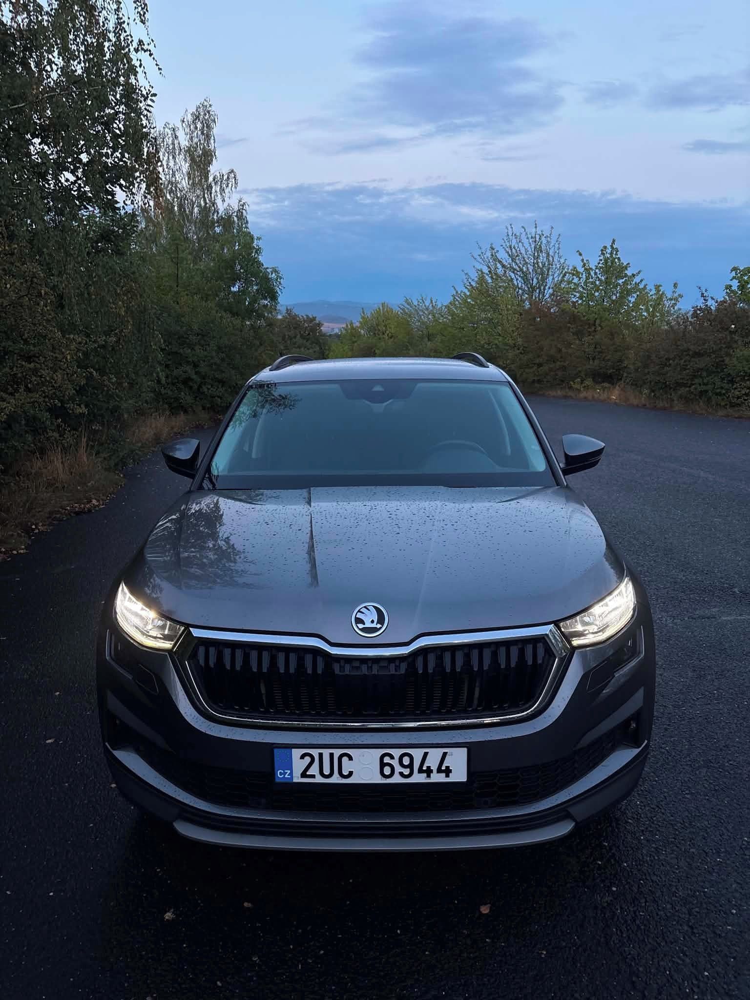 Škoda Kodiaq, Po servisu