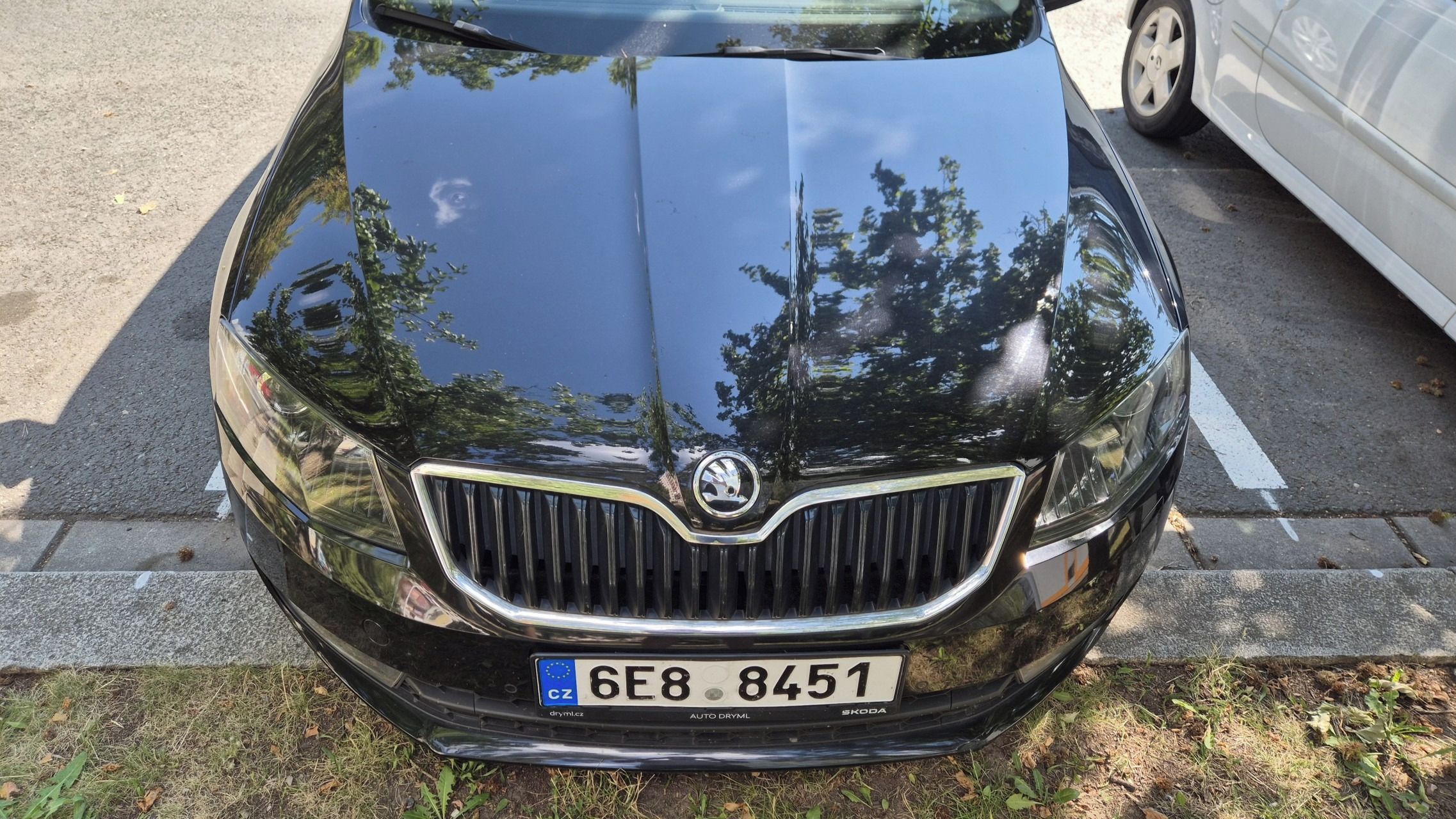 Škoda Octavia - fotka 5