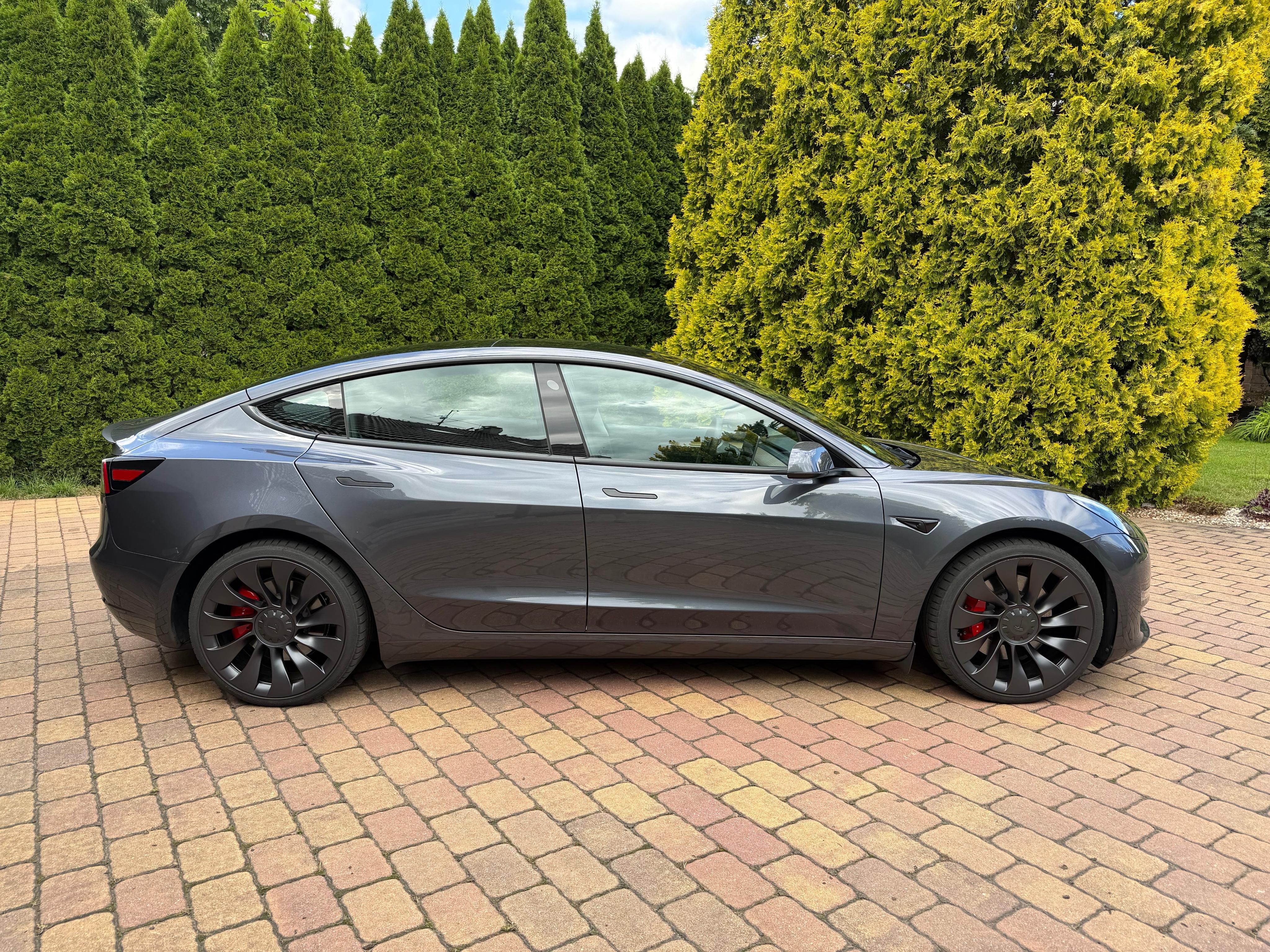 Tesla Model 3, Tesla 3 PERF SOH95%, 1.maj.ČR