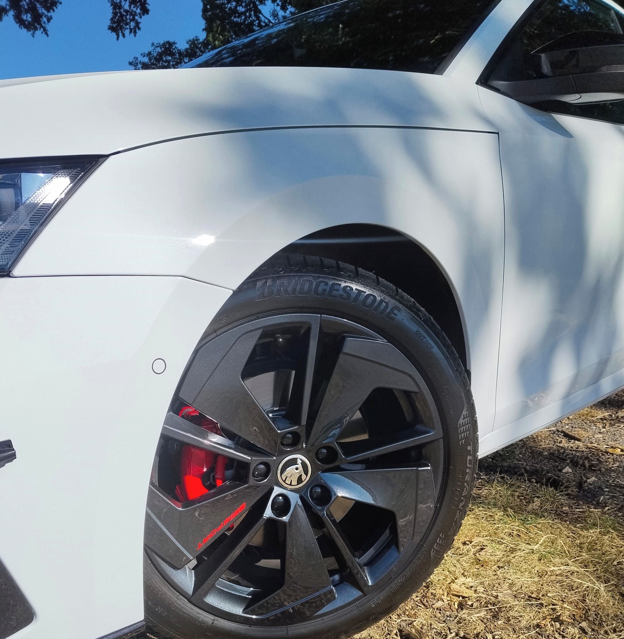 Škoda Octavia, Škoda Octavia TDI RS 4x4 - fotka 6