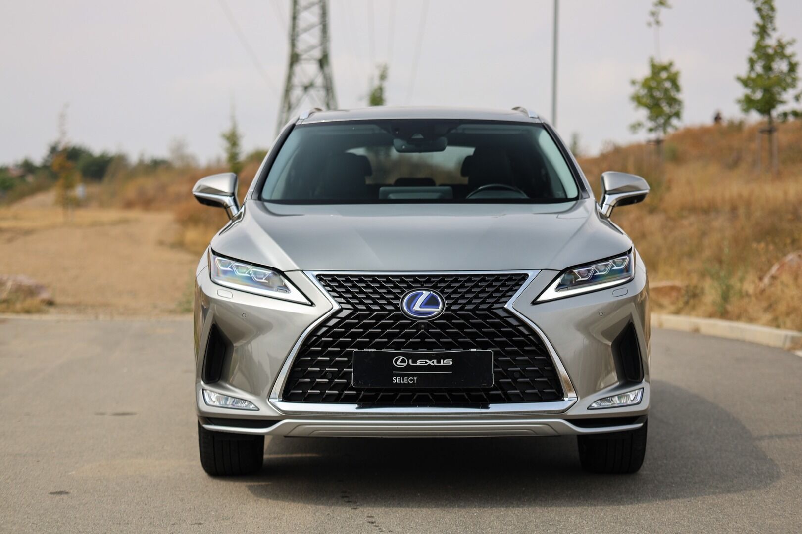 Lexus RX 450h, 450H 3,5 HEV LUXURY - fotka 3