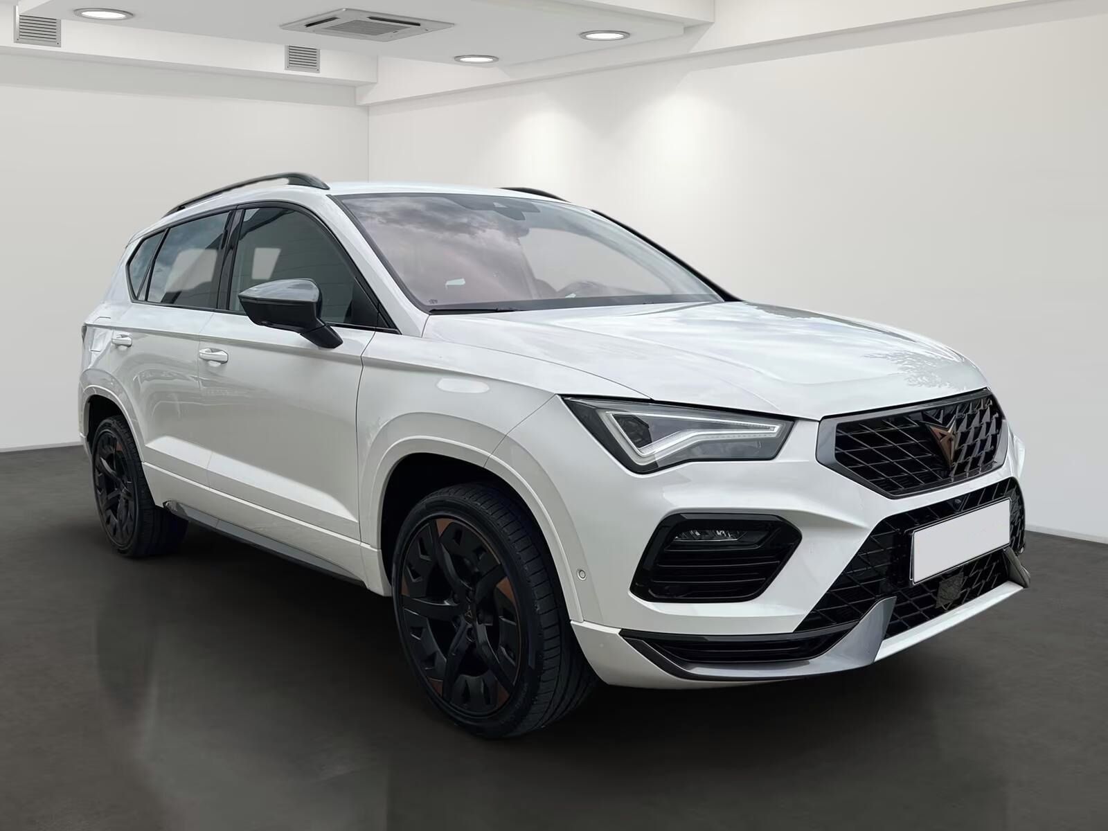Cupra Ateca, 1.5 TSI*Kamera*Navi*Led*DAB* - fotka 3