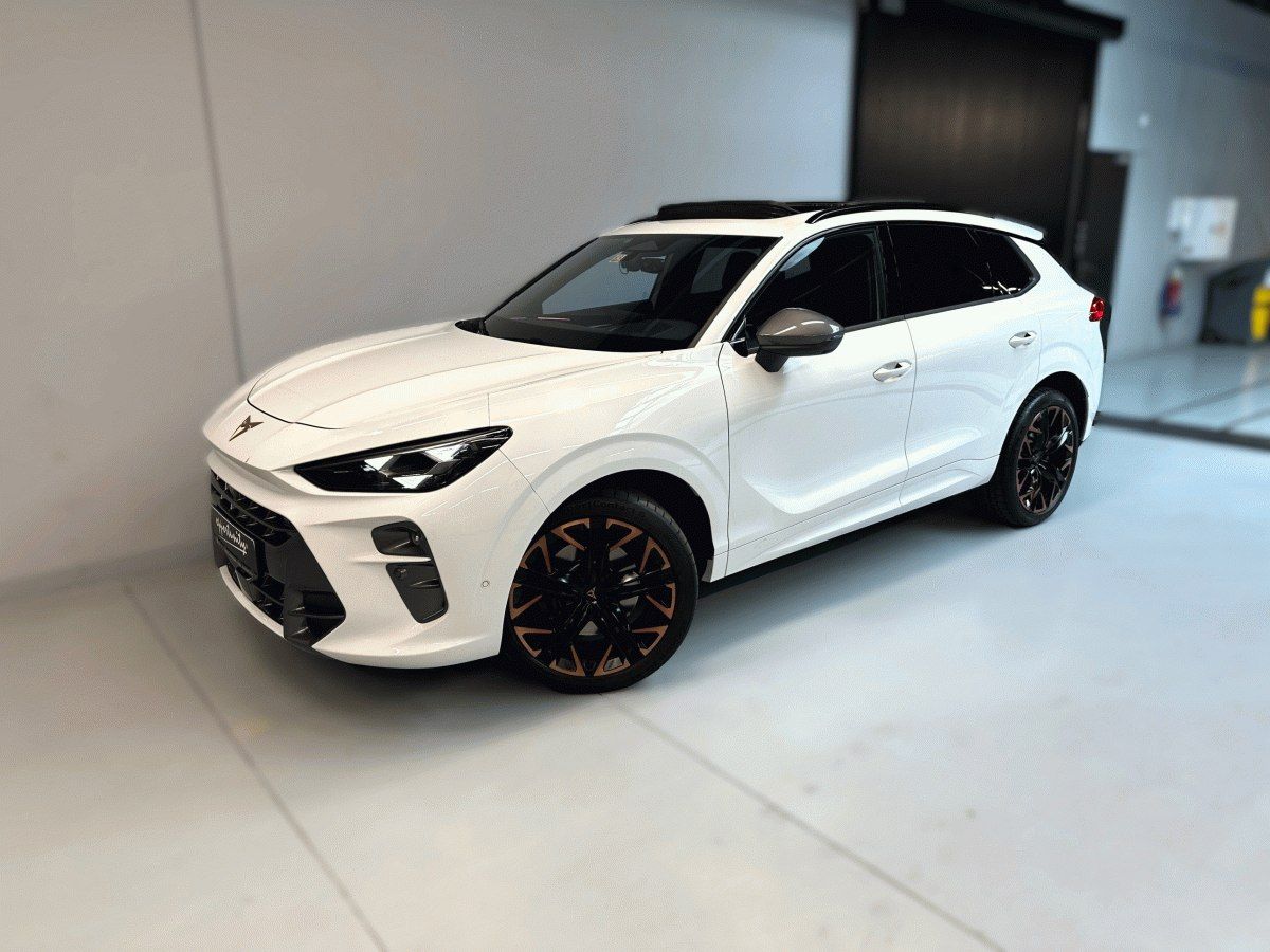 Cupra Terramar, 2.0 TSI 265k 4WD DSG *HD MTRX*