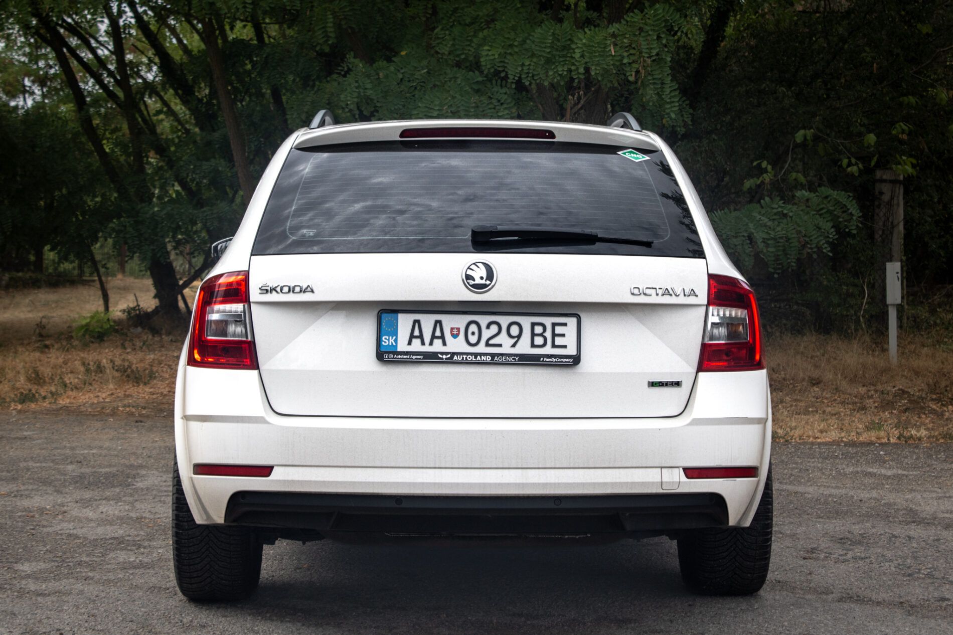 Škoda Octavia - fotka 6