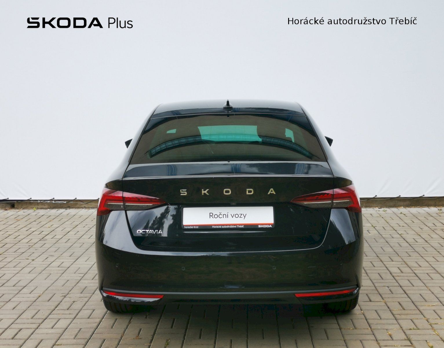 Škoda Octavia, 2,0 TDI DSG Exclusive Selecton - fotka 6