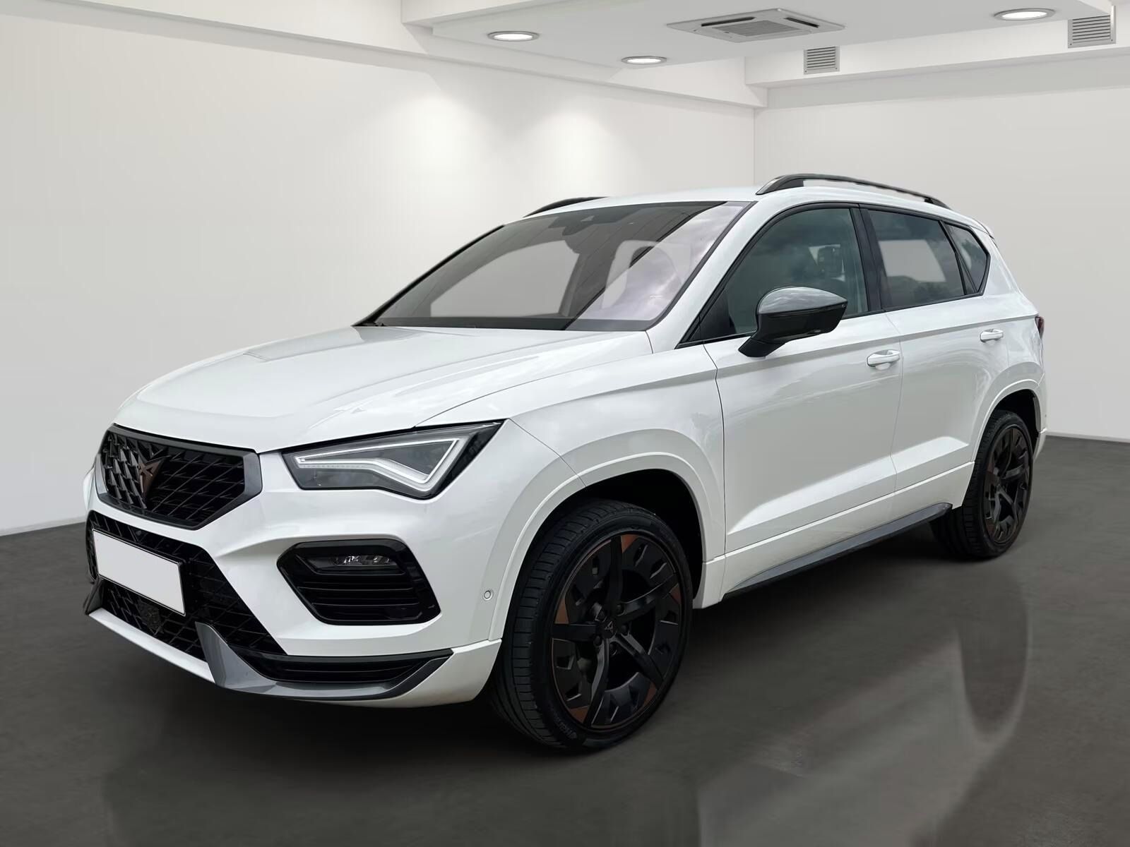 Cupra Ateca, 1.5 TSI*Kamera*Navi*Led*DAB*