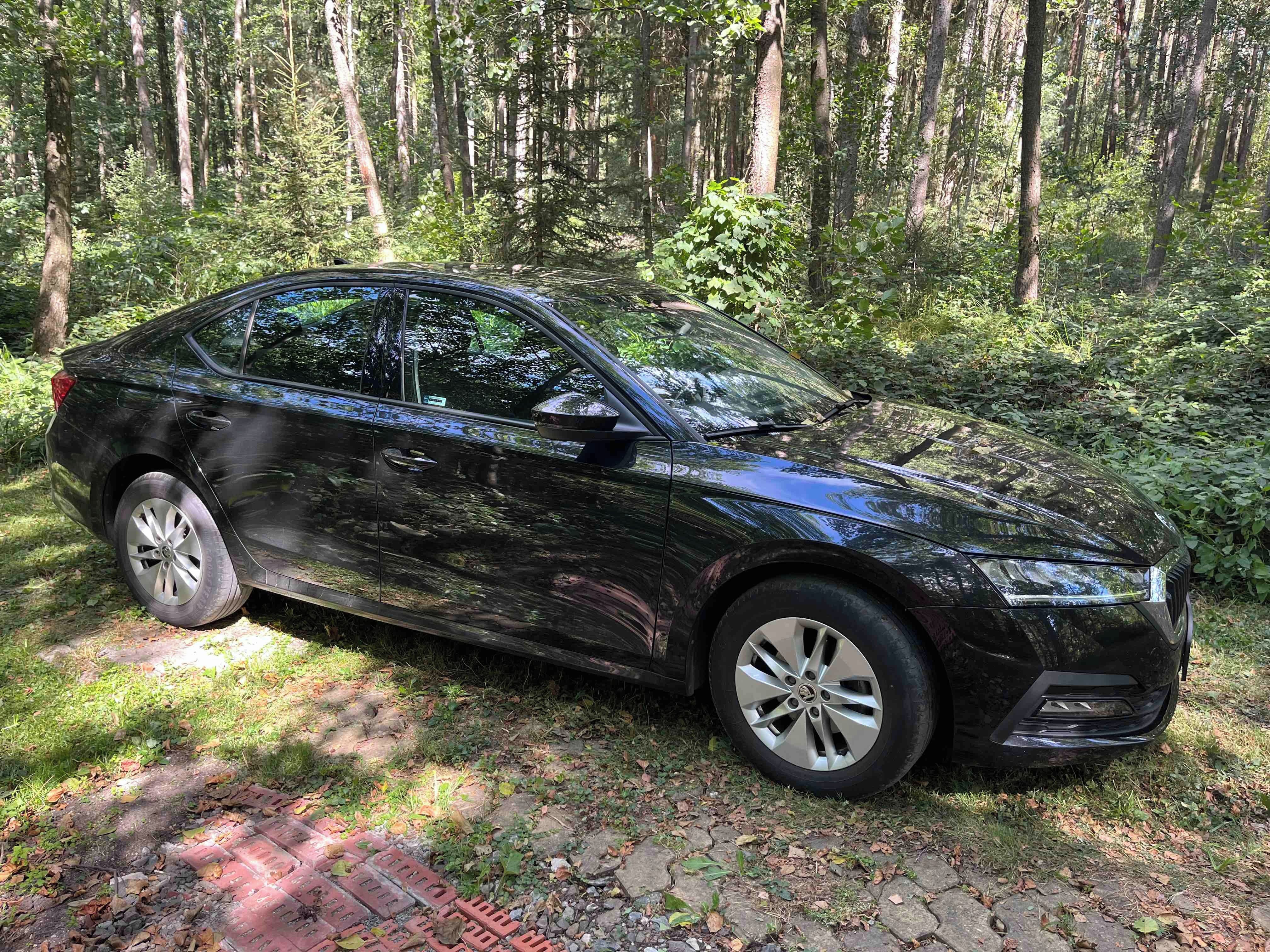 Škoda Octavia, 2,0 TDI Ambition, DSG - fotka 2