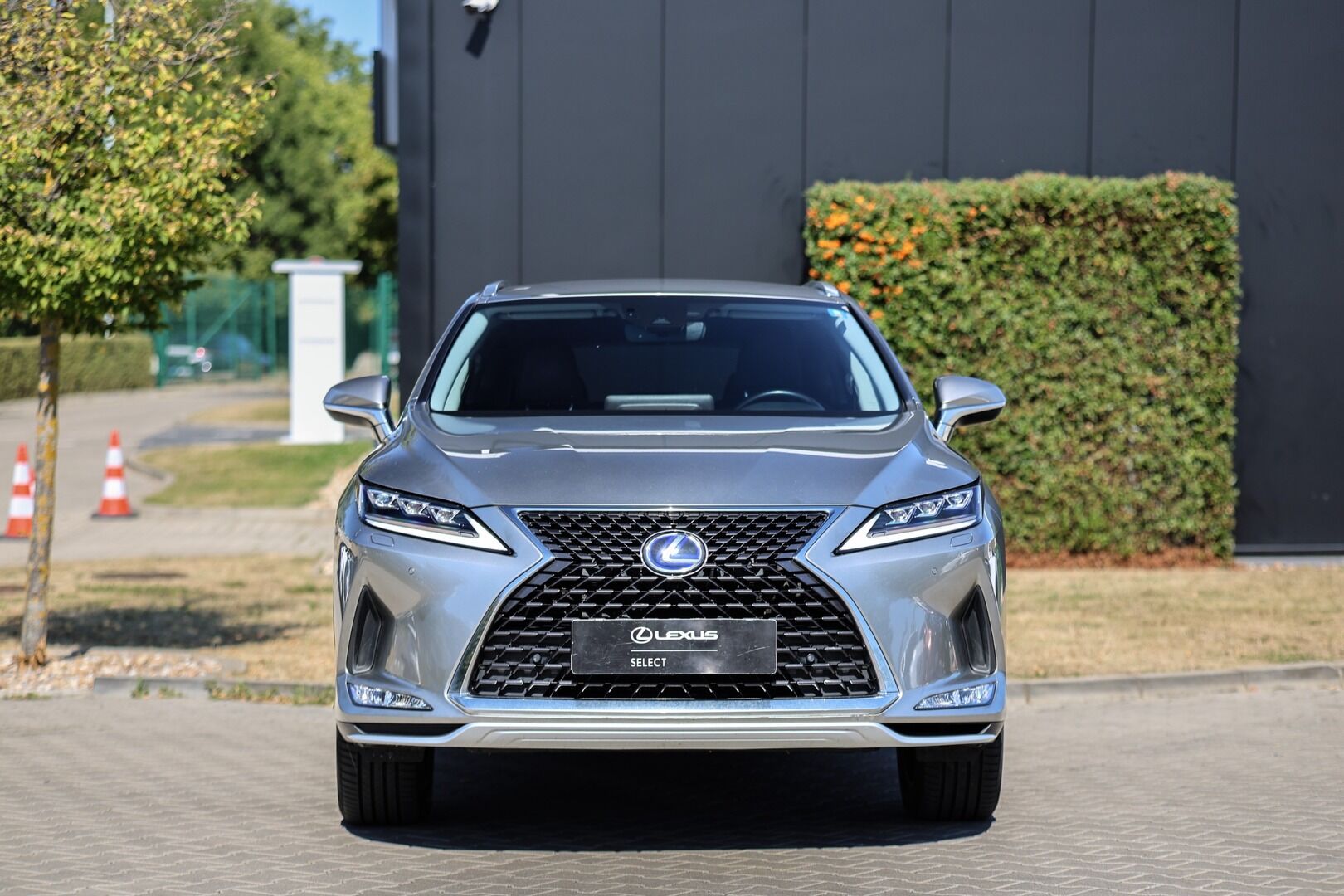 Lexus RX 450h, 450H 3,5 HEV EXECUTIVE - fotka 3