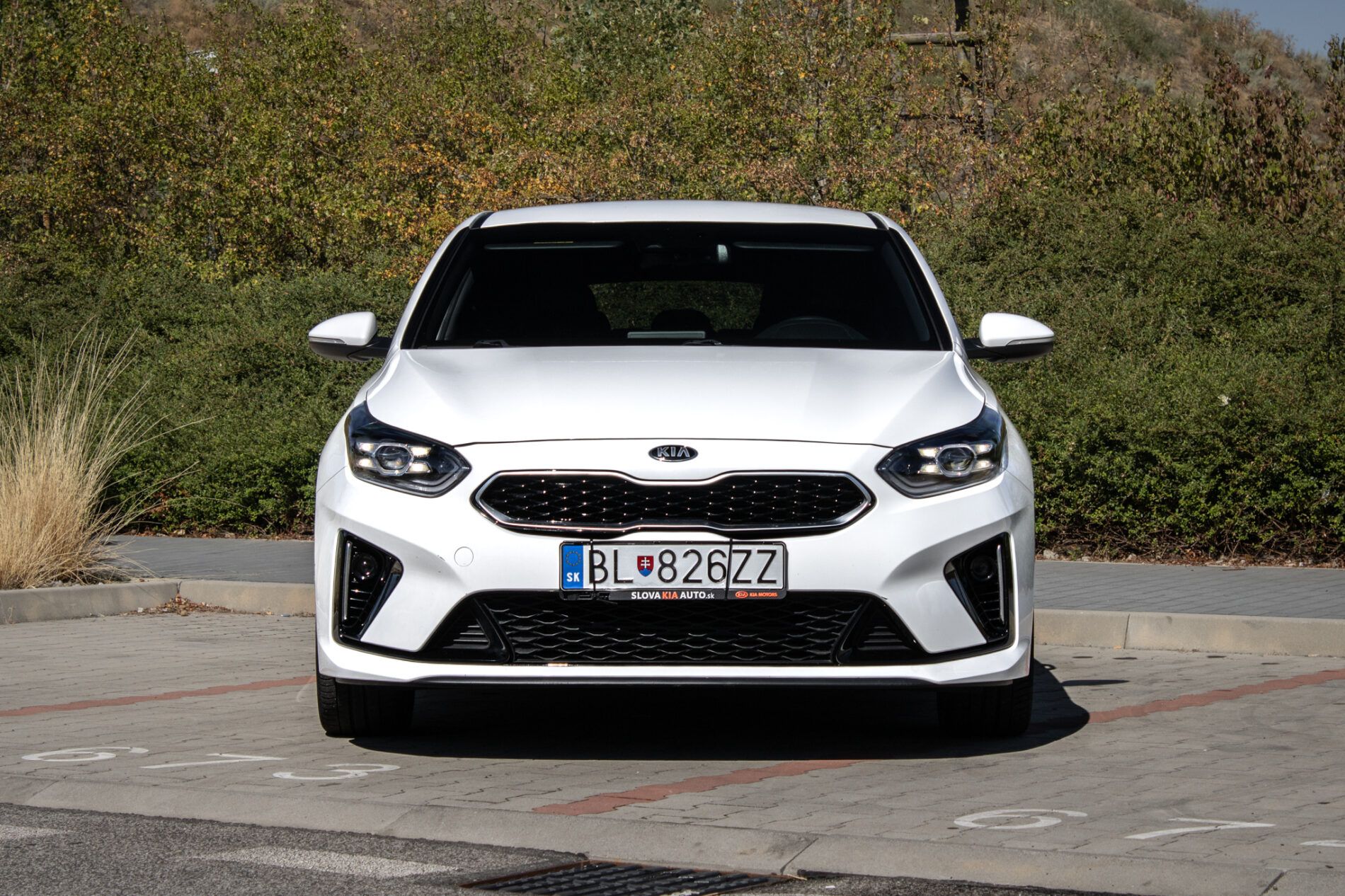 Kia Pro_cee´d - fotka 2