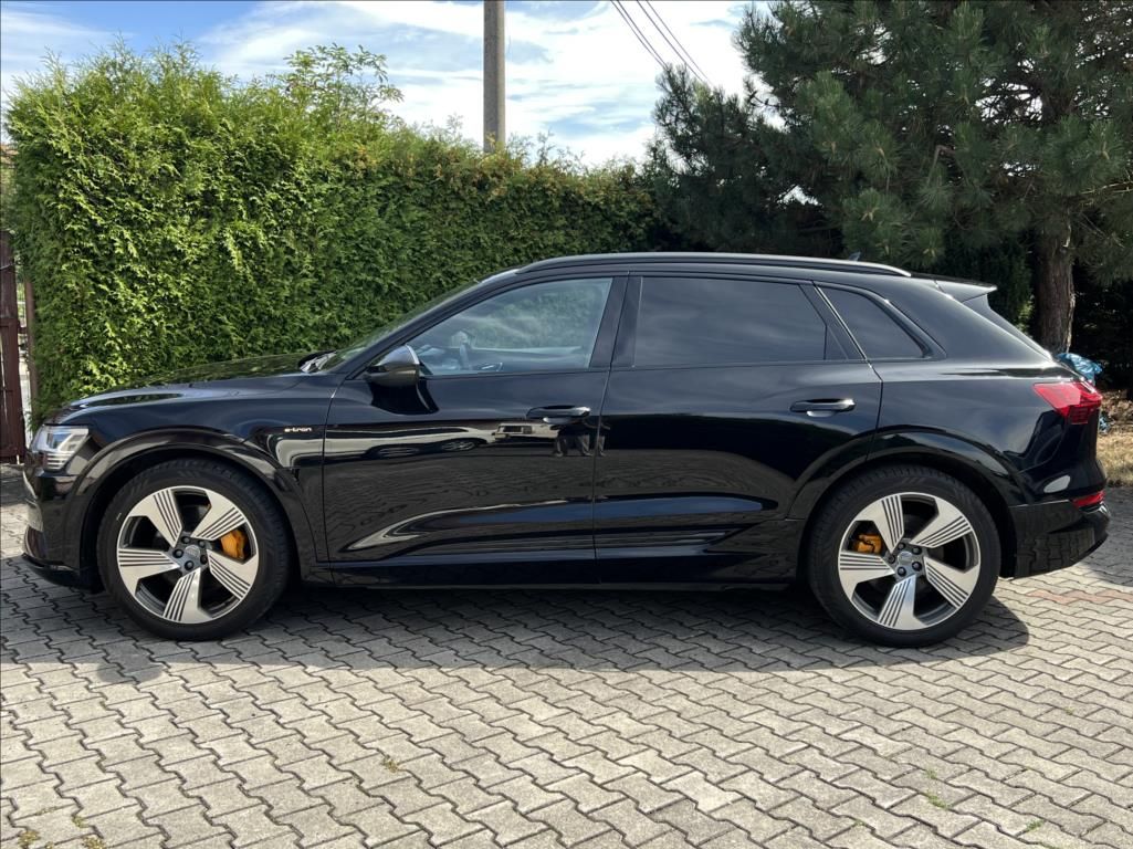 Audi e-tron, 50 Quattro Proline Limited - fotka 2