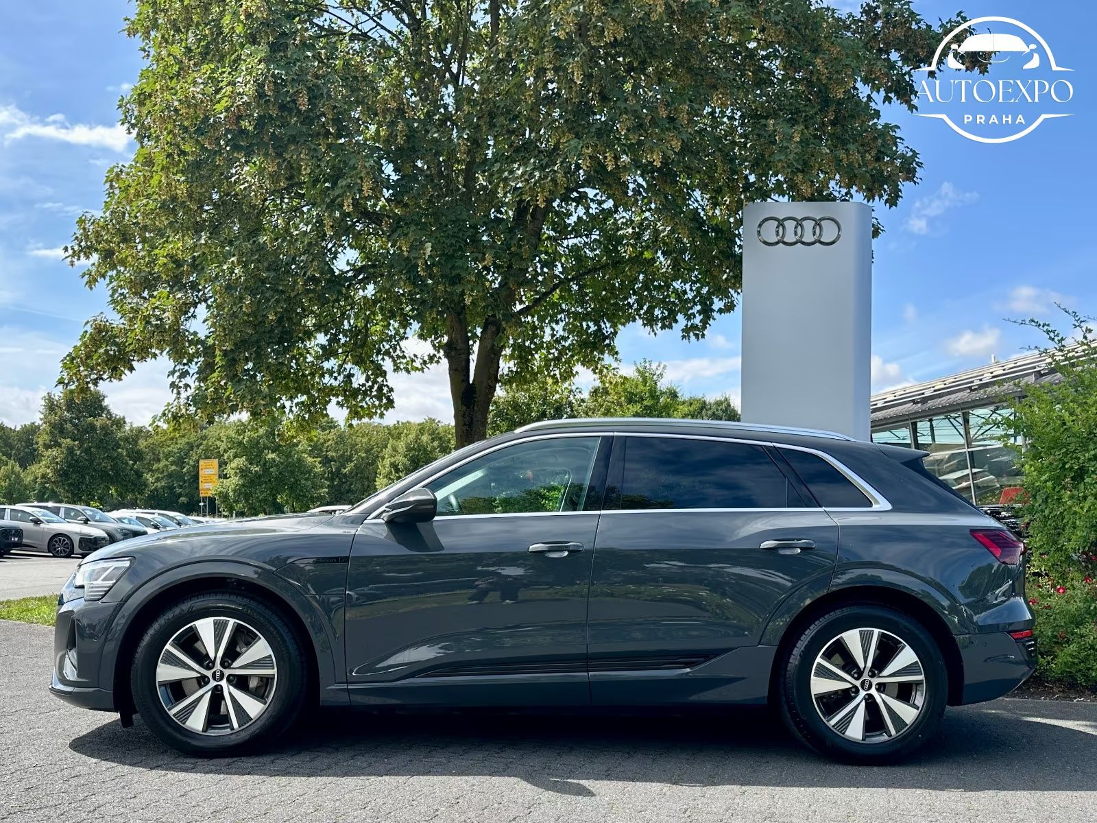 Audi Q8 e-tron, 50 quatro* advanced * - fotka 5