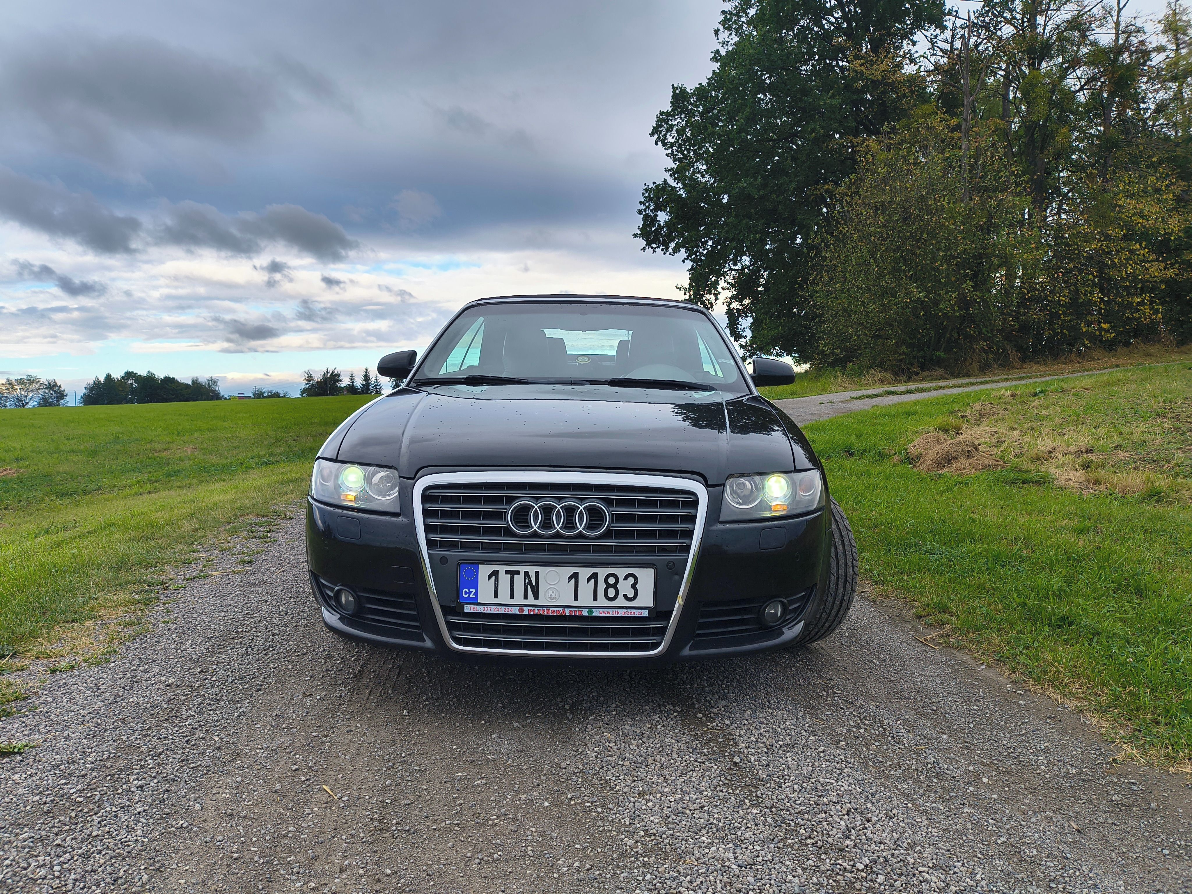 Audi A4, 2.5TDI multitronic Cabriolet - fotka 2