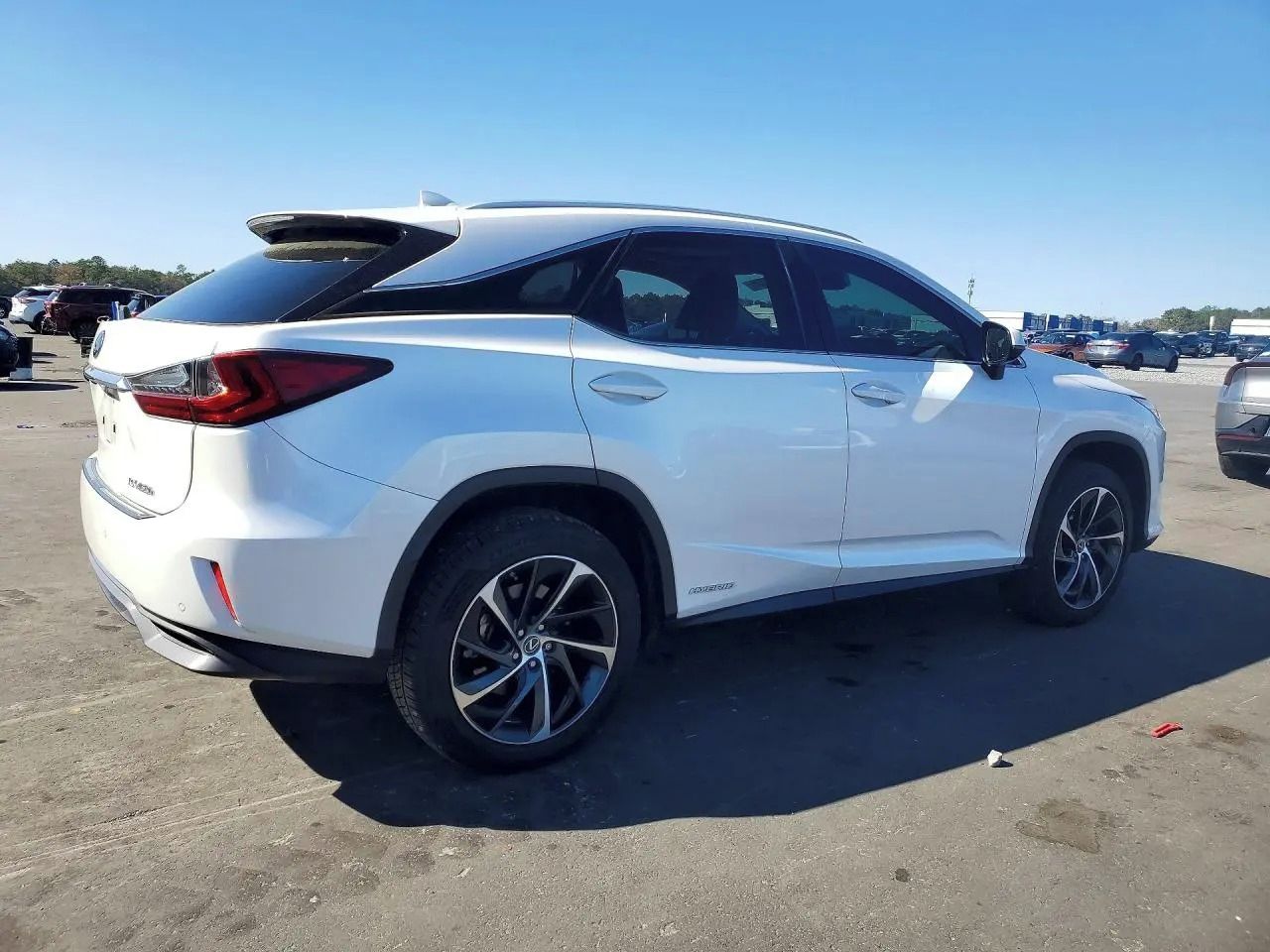 Lexus RX 450h, Auto na cestě - fotka 4