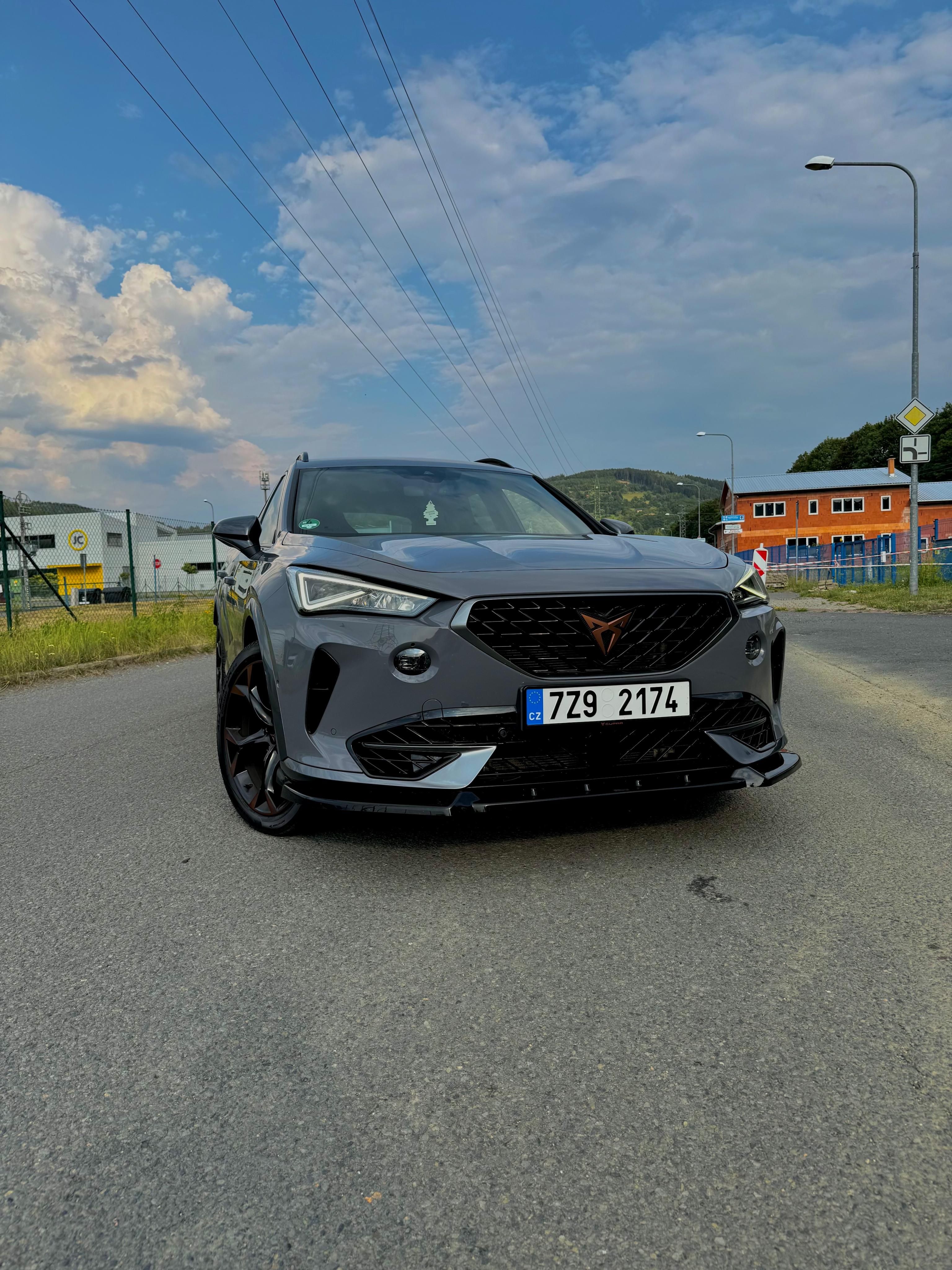 Cupra Formentor, Cupra Formentor vz310