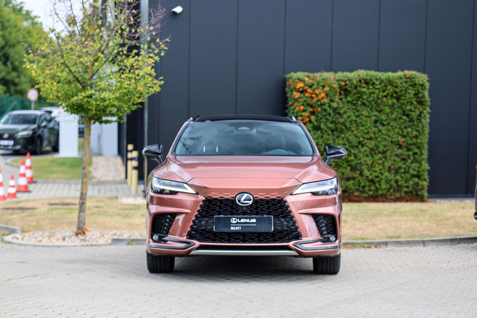 Lexus RX 500h, 2,4 HEV F SPORT PLUS PANORAMIC - fotka 3
