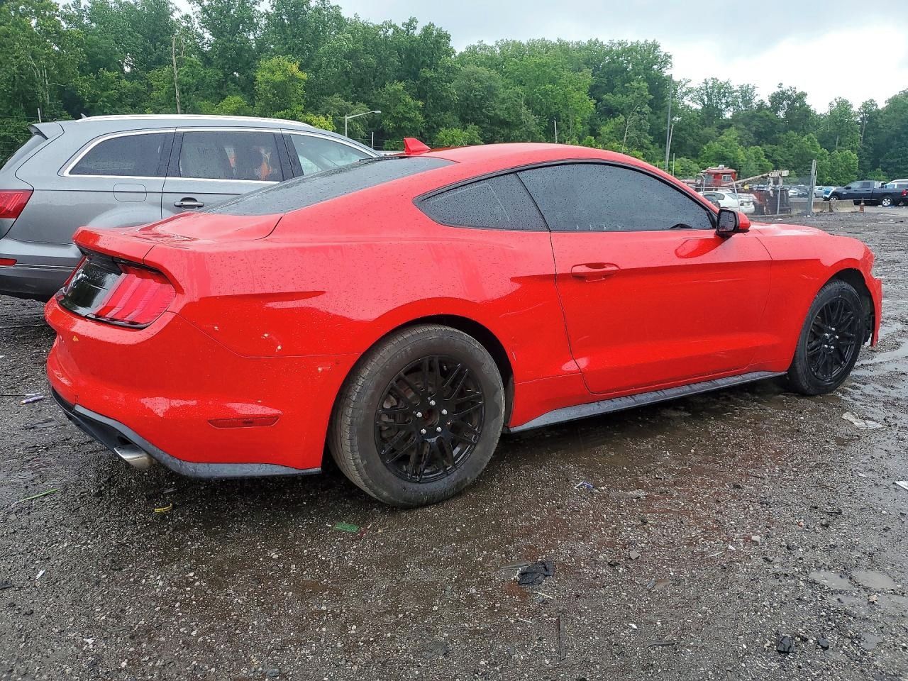 Ford Mustang, Auto na cestě - fotka 3