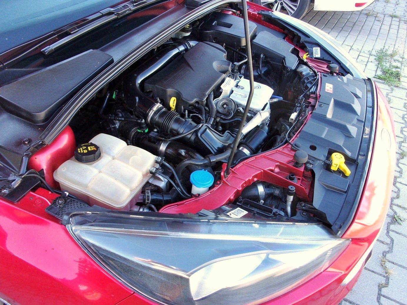 Ford Focus, 1.0 Eco,servisovaný, pěkný,ČR - fotka 6