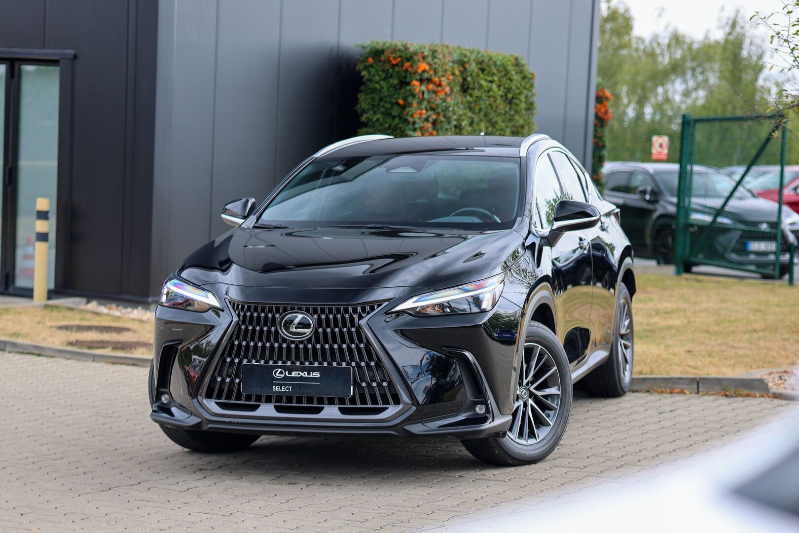 Lexus NX 350h, 350h 2,5 HEV COMFORT PLUS