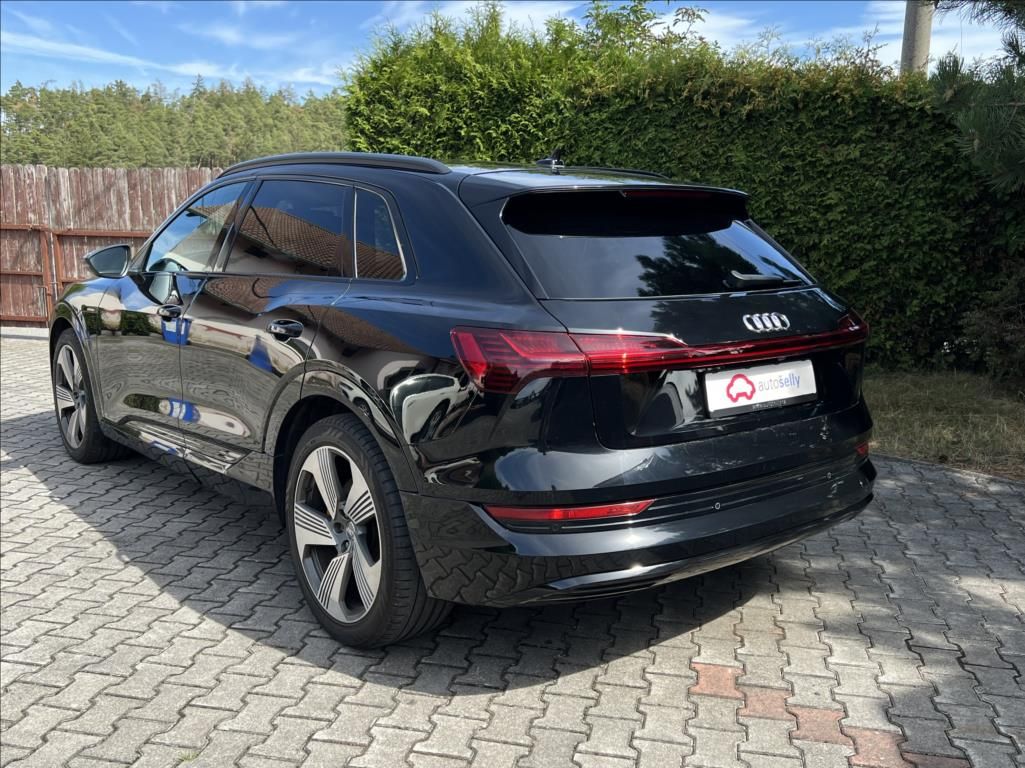 Audi e-tron, 50 Quattro Proline Limited - fotka 3