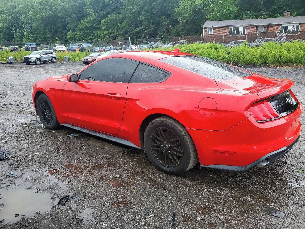 Ford Mustang, Auto na cestě - fotka 4