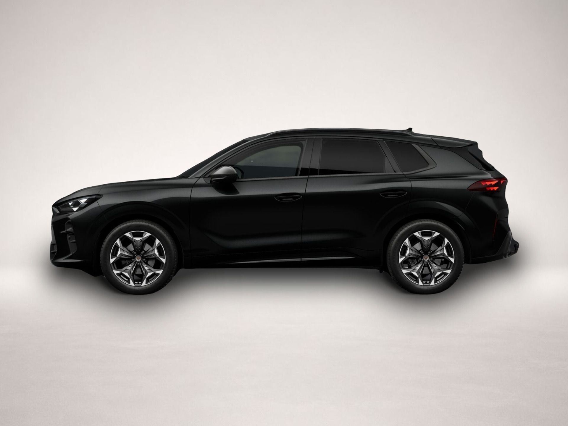 Cupra Terramar, 2.0TSI 265k4x4DSG tažné 2026