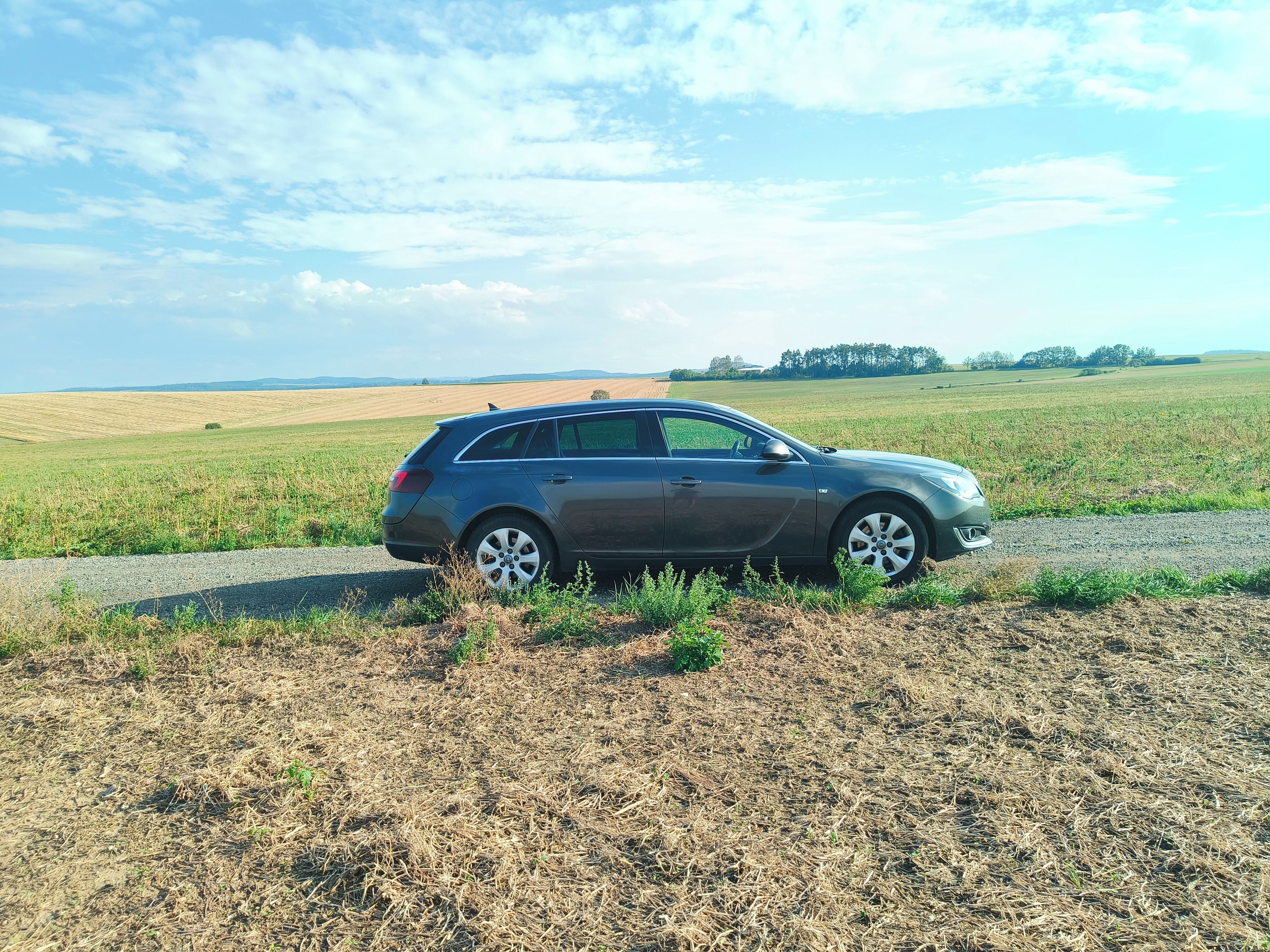 Opel Insignia, Opel Insignia 2.0 CDTI, 103 kw - fotka 2