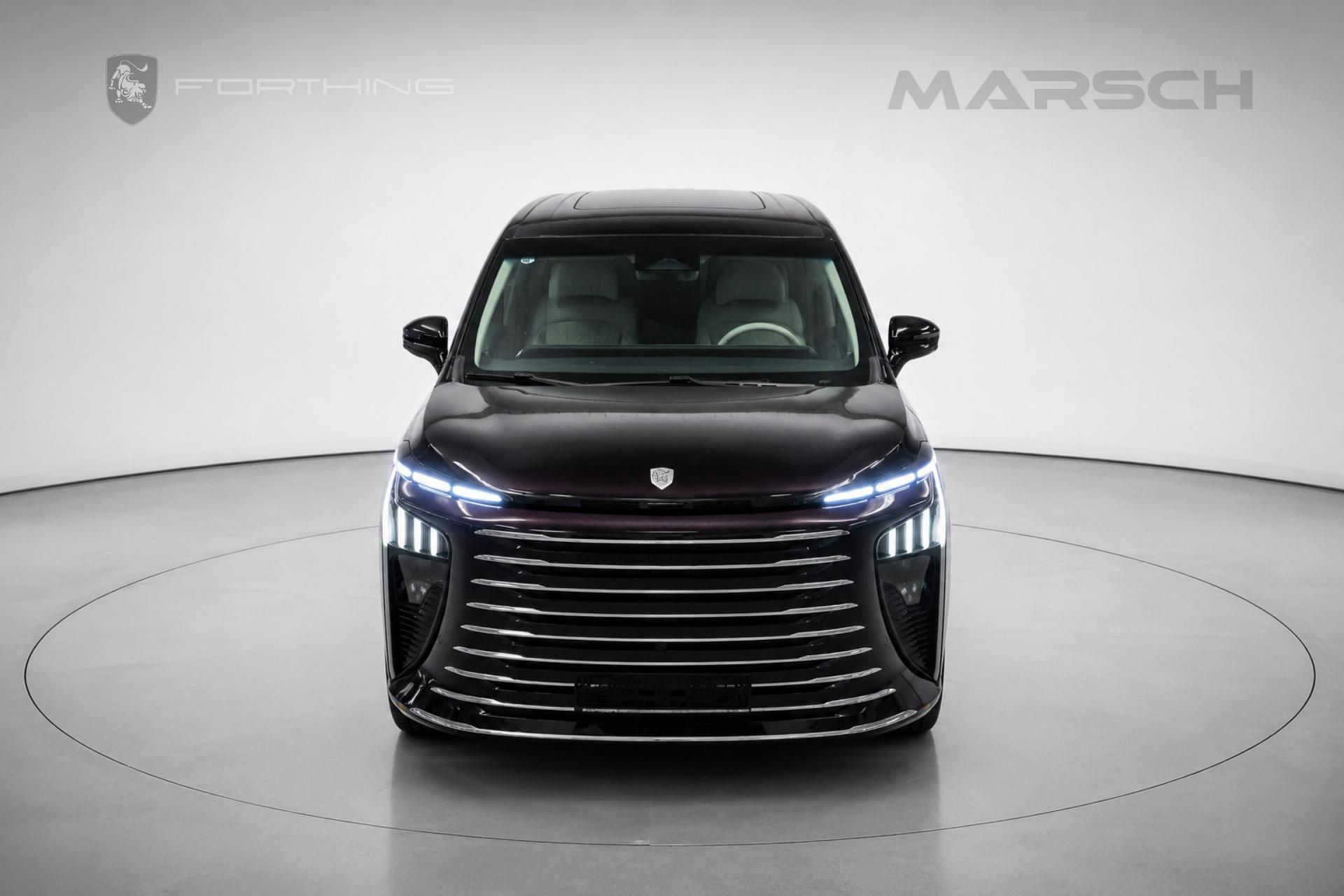 Forthing U-Tour V9, PHEV - fotka 2