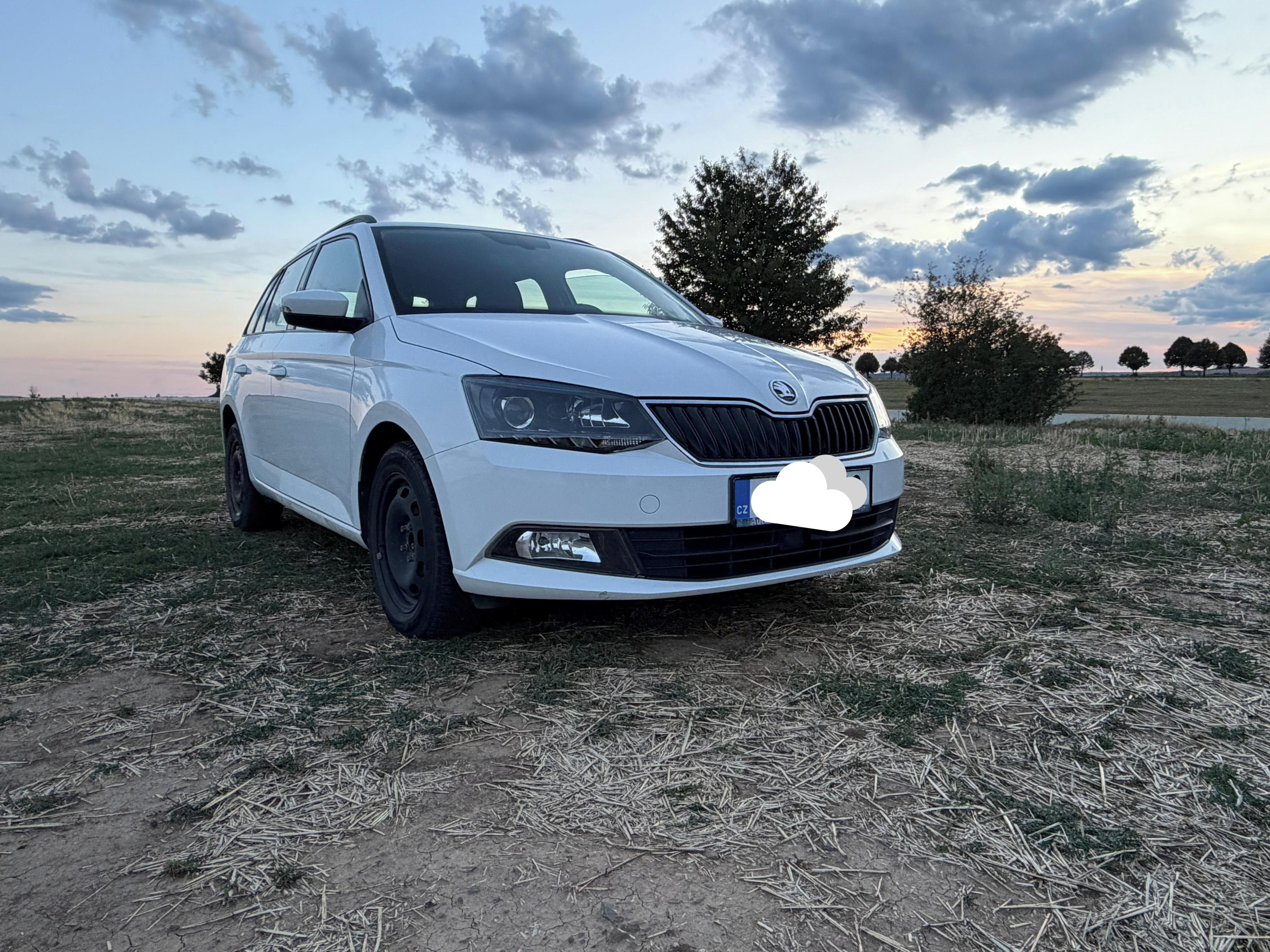 Škoda Fabia, Škoda Fabia 1.0tsi 81kw DSG