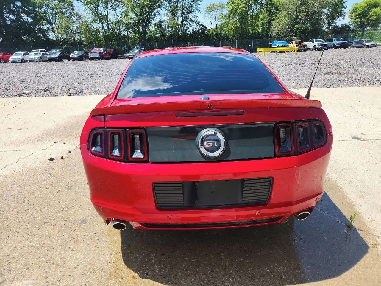 Ford Mustang, Auto na cestě - fotka 6