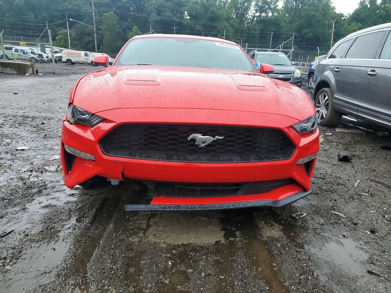 Ford Mustang, Auto na cestě - fotka 5