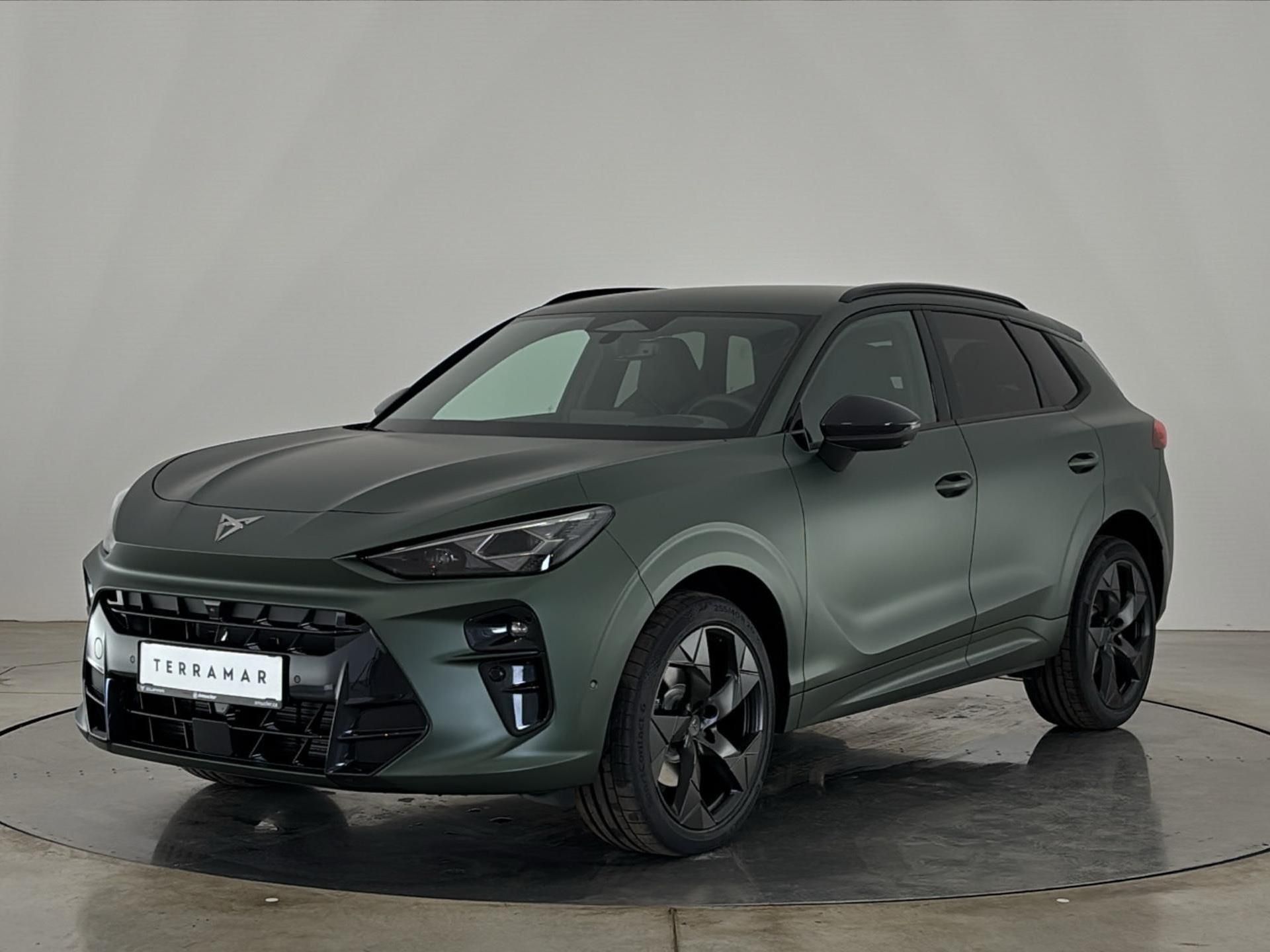 Cupra Terramar, 2.0 TSI / 195 kW VZ