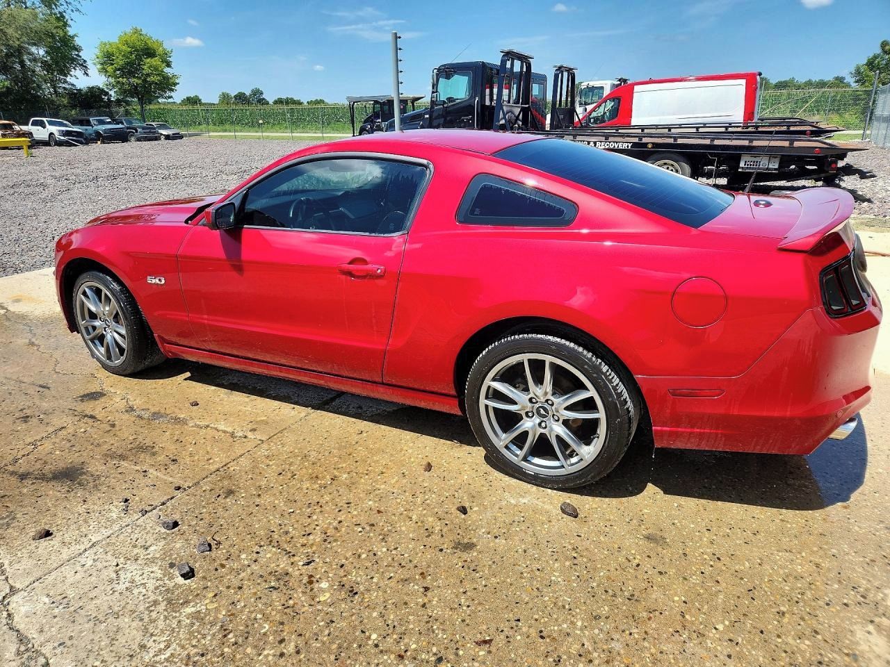 Ford Mustang, Auto na cestě - fotka 3