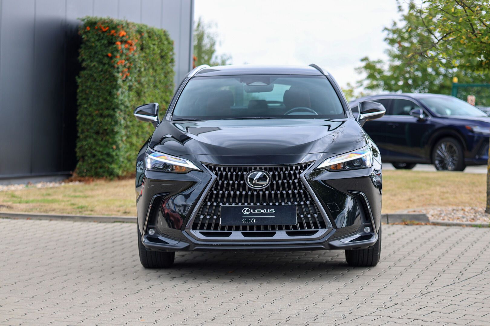Lexus NX 350h, 350h 2,5 HEV COMFORT PLUS - fotka 6