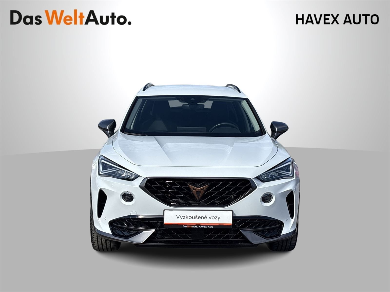 Cupra Formentor, 1.5 TSI DSG - fotka 4