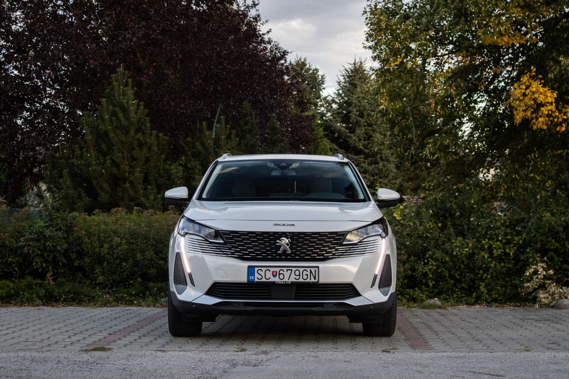 Peugeot 3008 - fotka 2