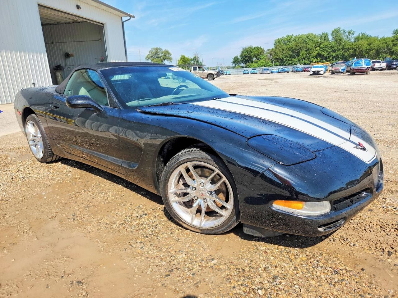 Chevrolet Corvette, Auto na cestě - fotka 2